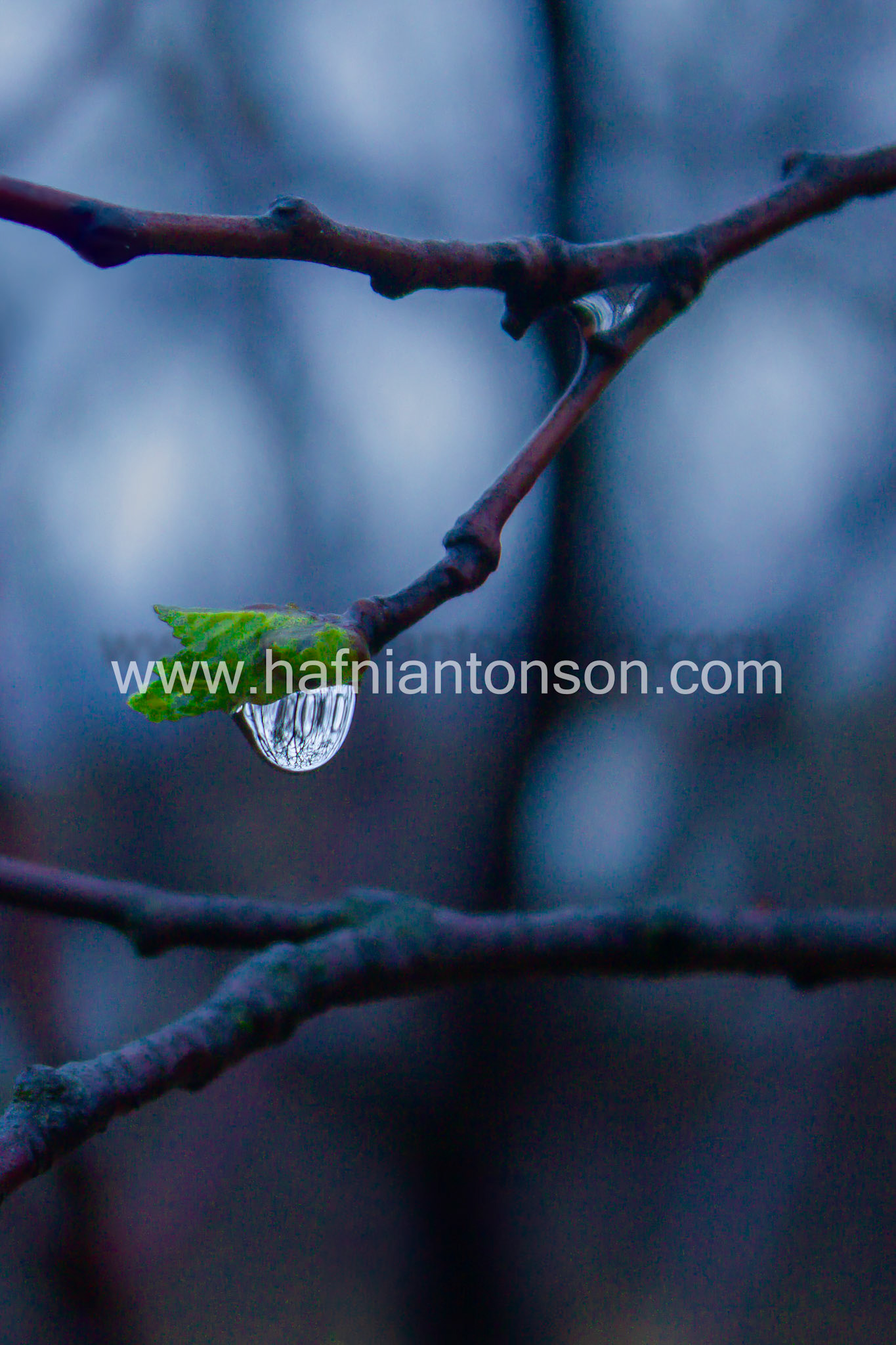 Like a drop of water