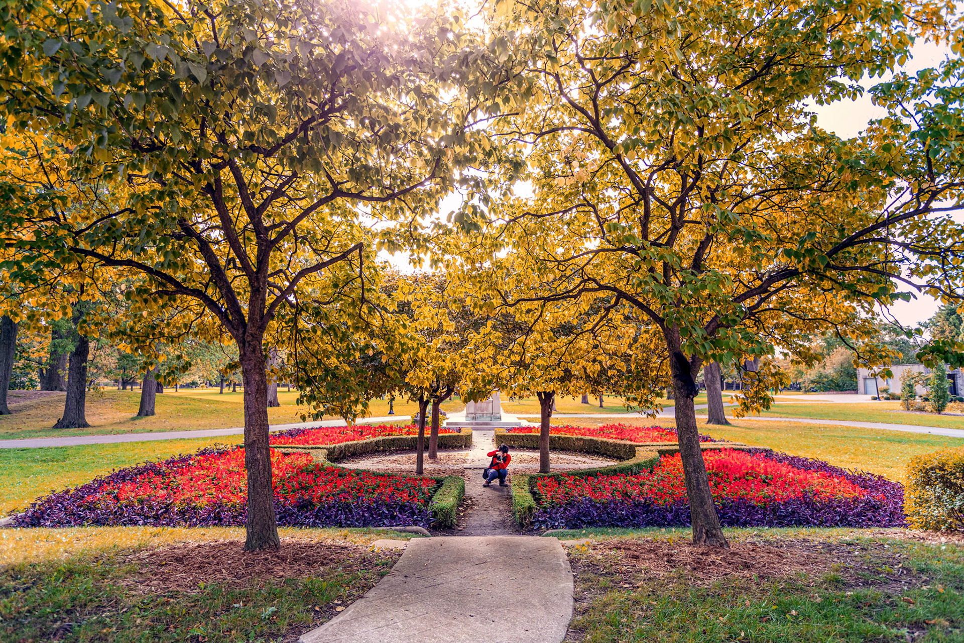 Photographer in the Park