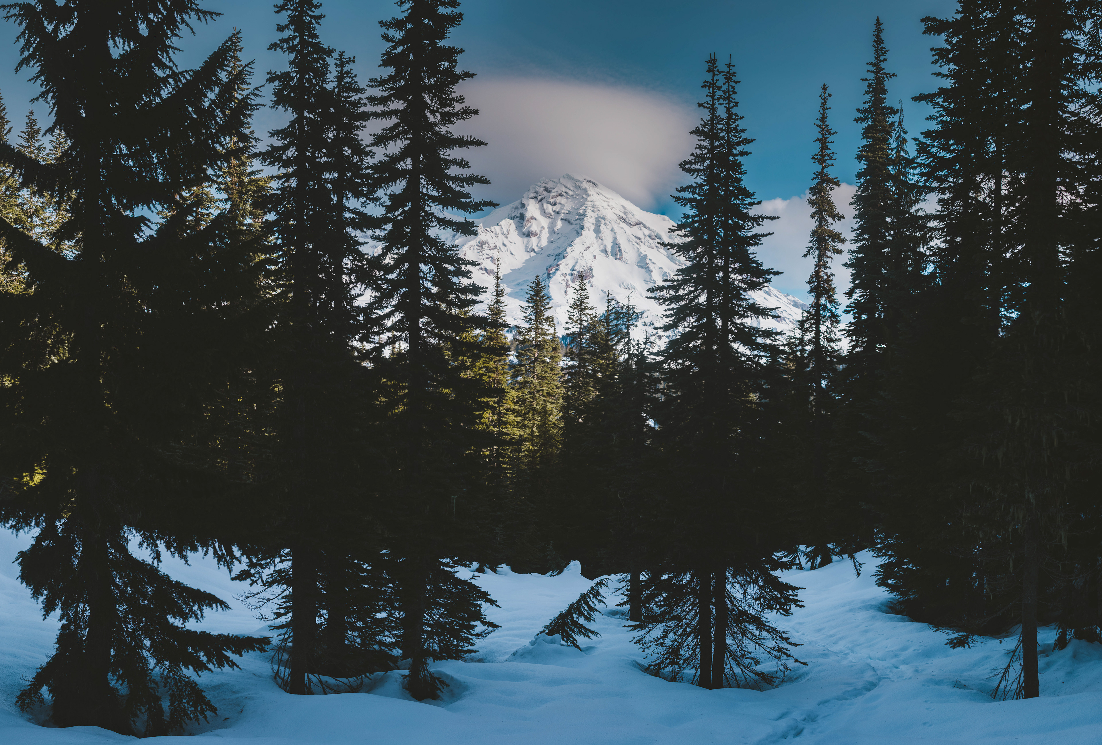 A winter landscape at Mount Rainier with snow-covered terrain and the mountain rising in the distance inside Mount Rainier National Park, Washington