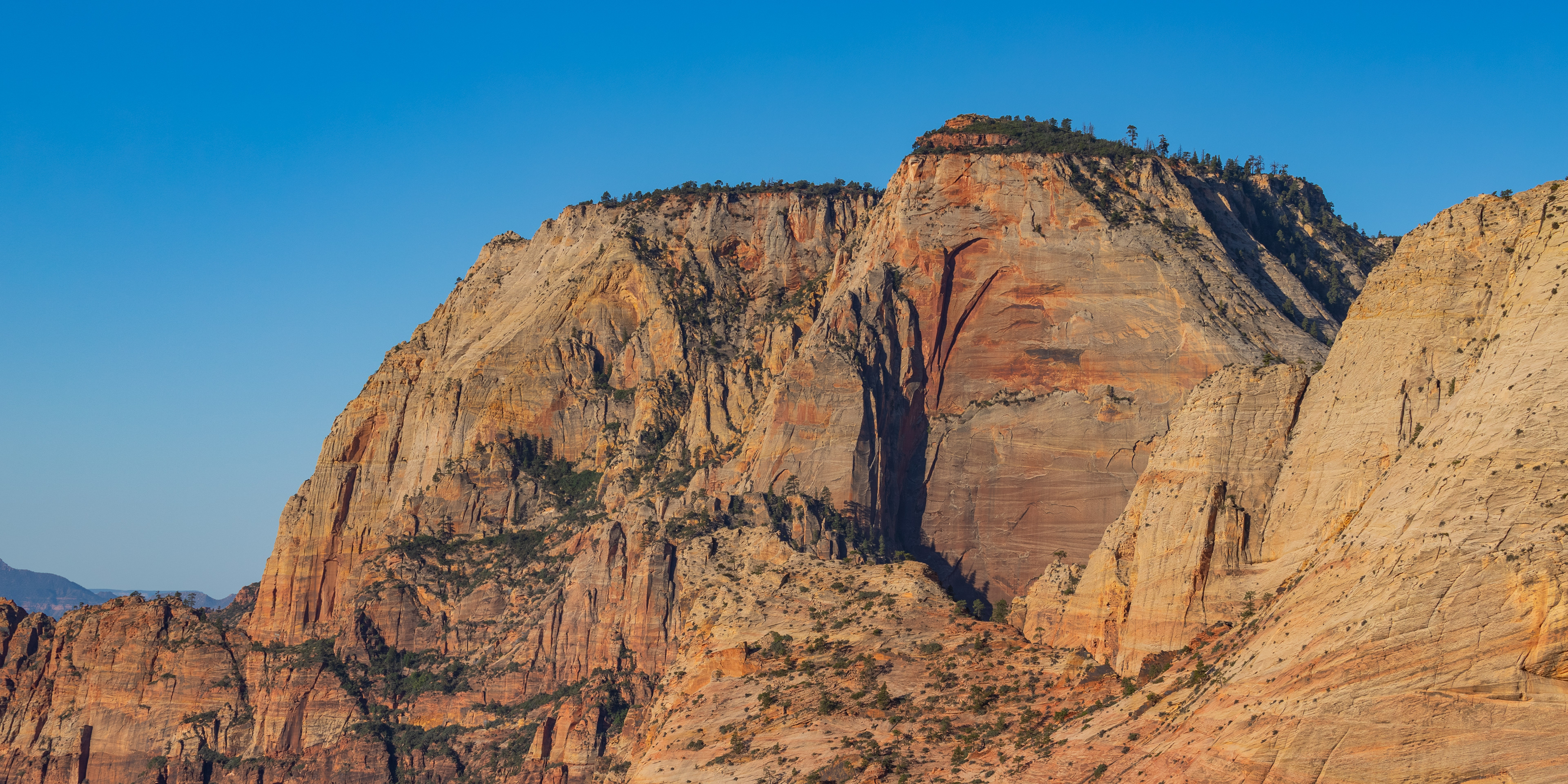 Sheer sandstone cliffs glowing in warm late-day light, with layered rock faces and sparse vegetation beneath a clear blue sky in Zion National Park.