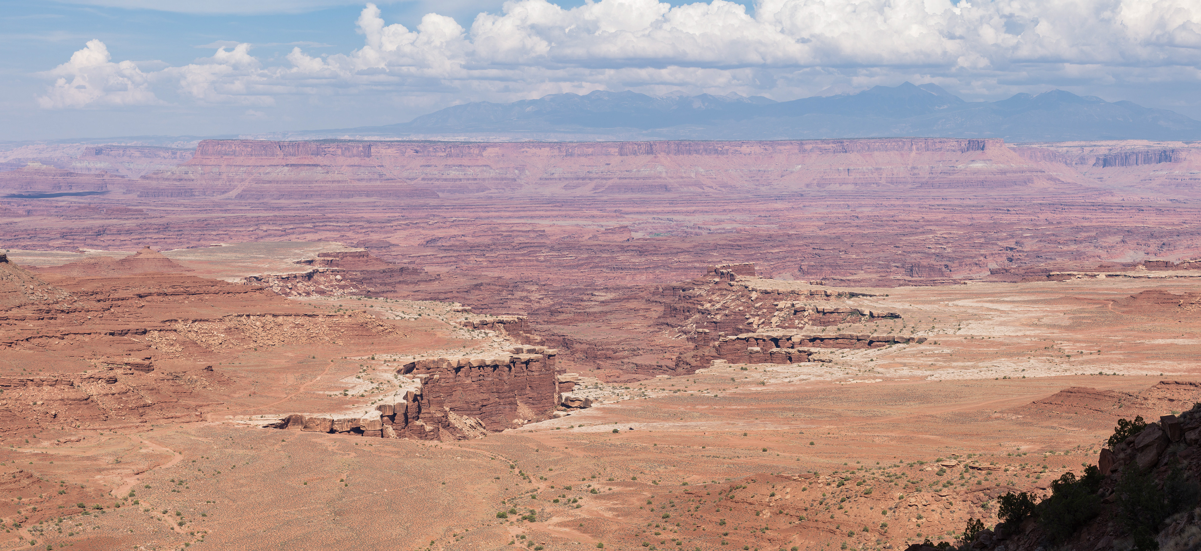 Photograph of Canyonlands National Park viewed from the Gooseberry Trail in Utah, with expansive canyon views, layered rock formations, and desert terrain.