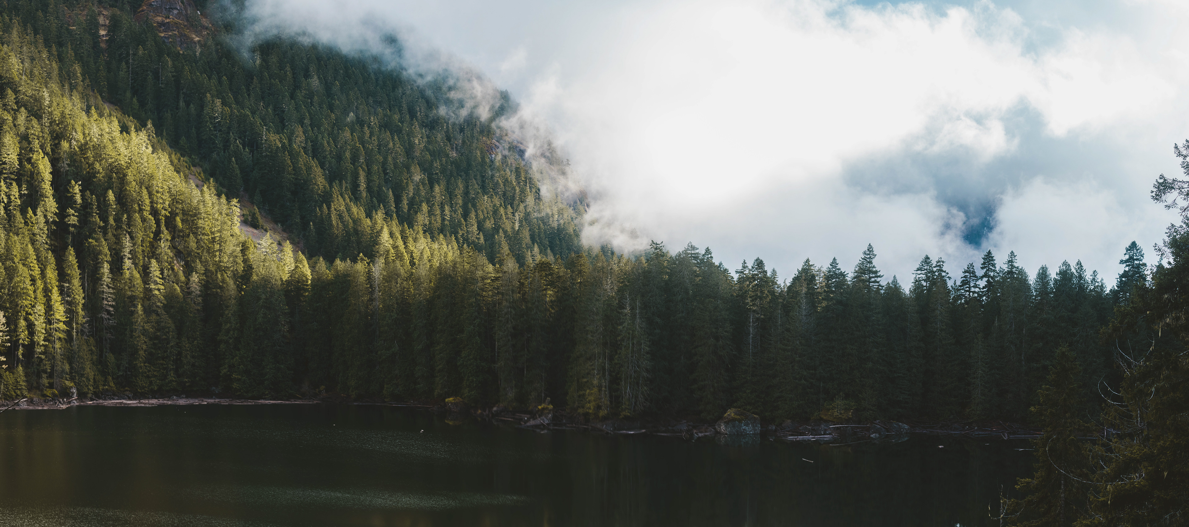 Landscape photograph of Lena Lake in clouds in Olympic National Forest, Washington, featuring fog, evergreen forest, and a quiet mountain lake.