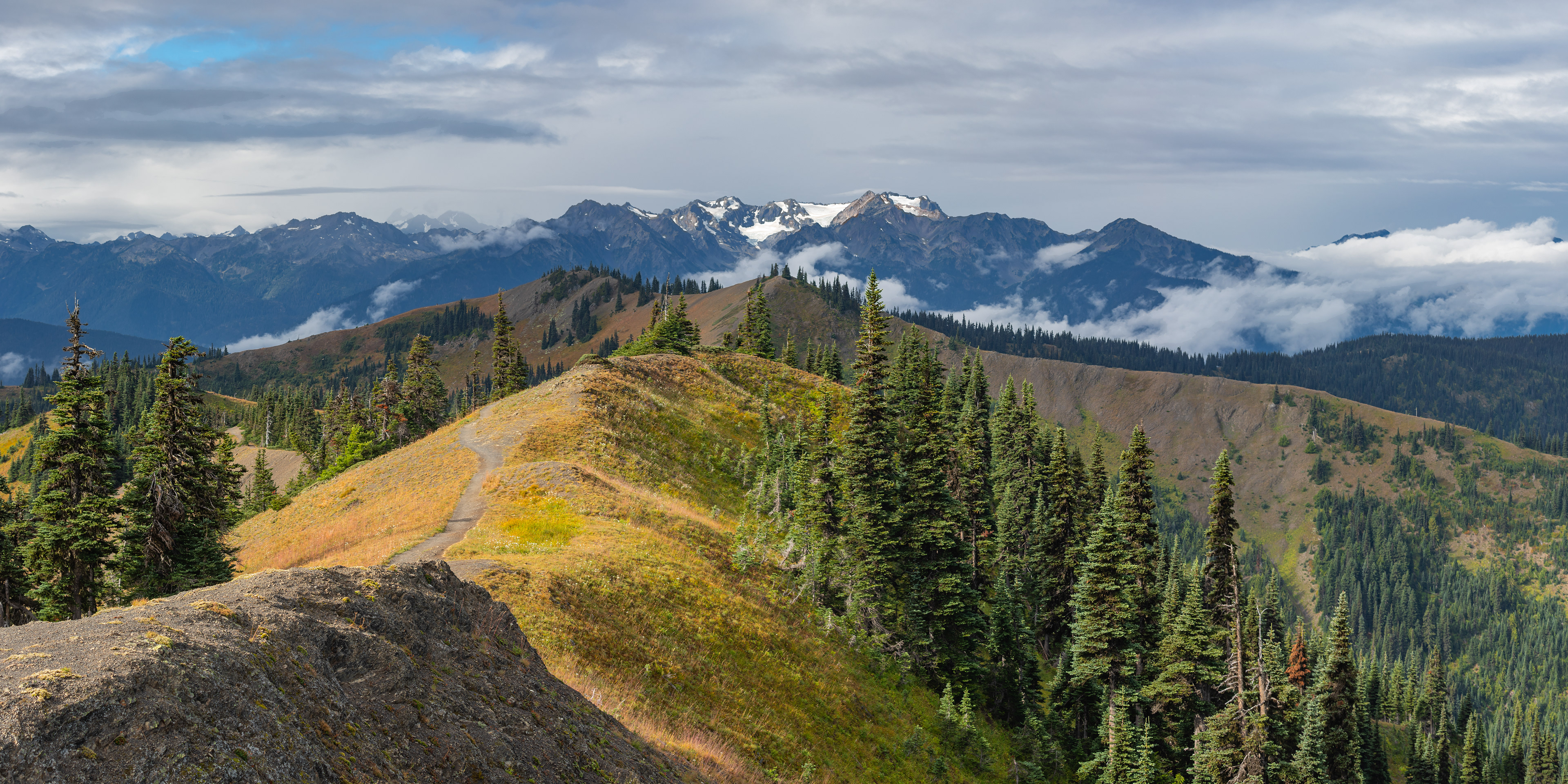 Photograph of the Hurricane Ridge Trail in Olympic National Park, Washington, with alpine terrain, open meadows, and surrounding mountain views.