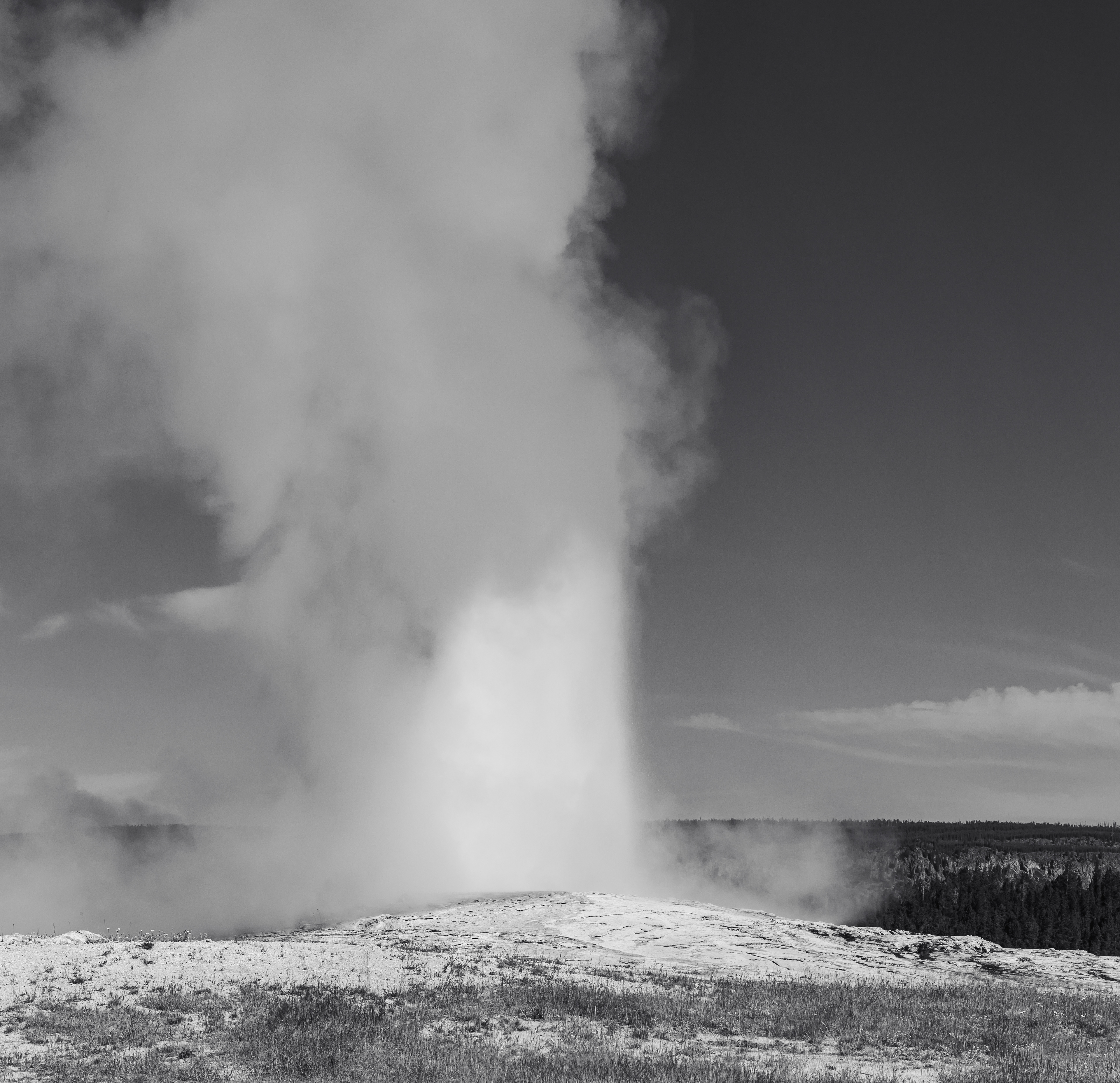 Photograph of Old Faithful erupting in Yellowstone National Park, Wyoming, with a powerful column of steam and water rising above the geothermal basin.