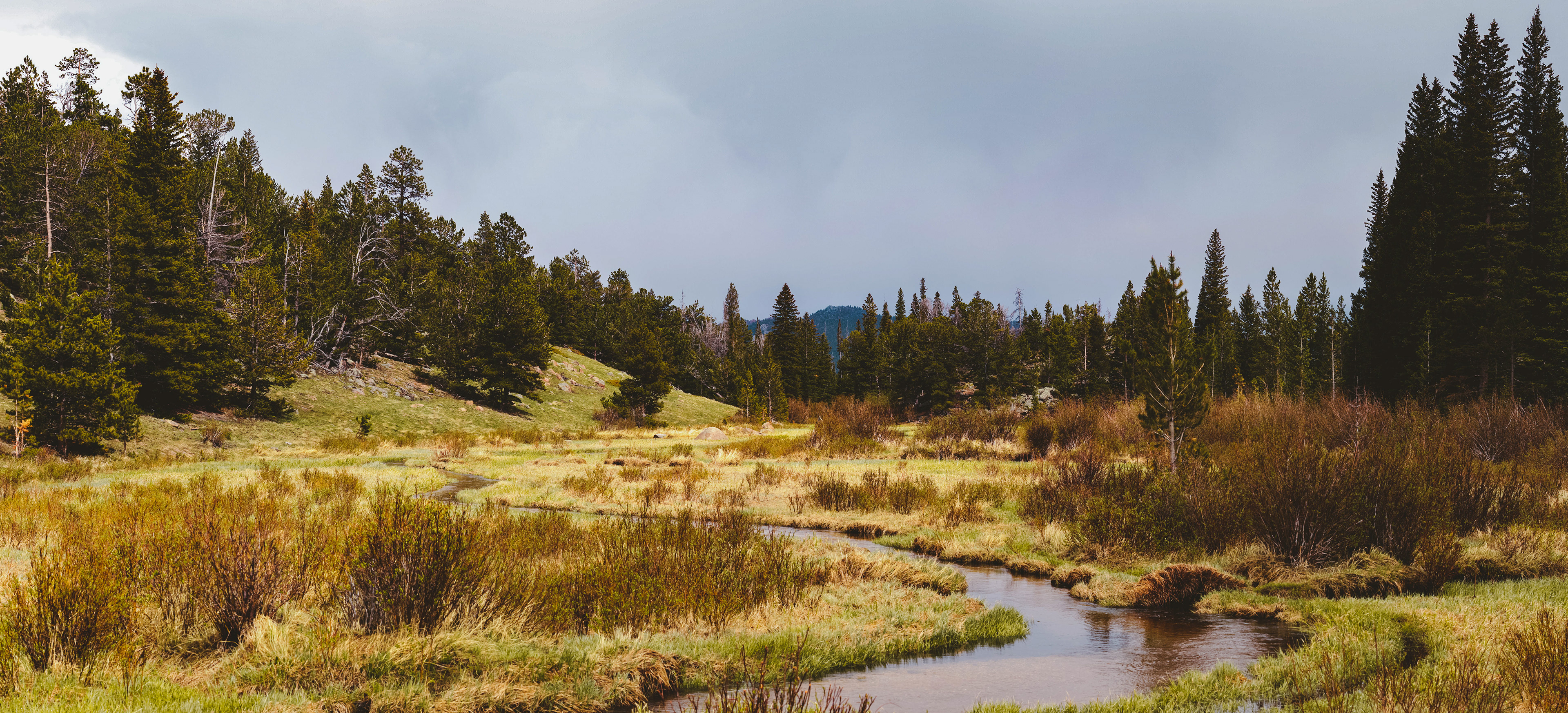 Photograph of Moraine Park in Rocky Mountain National Park, Colorado, with the Big Thompson River winding through open meadow, willow-lined banks, and surrounding forested slopes.