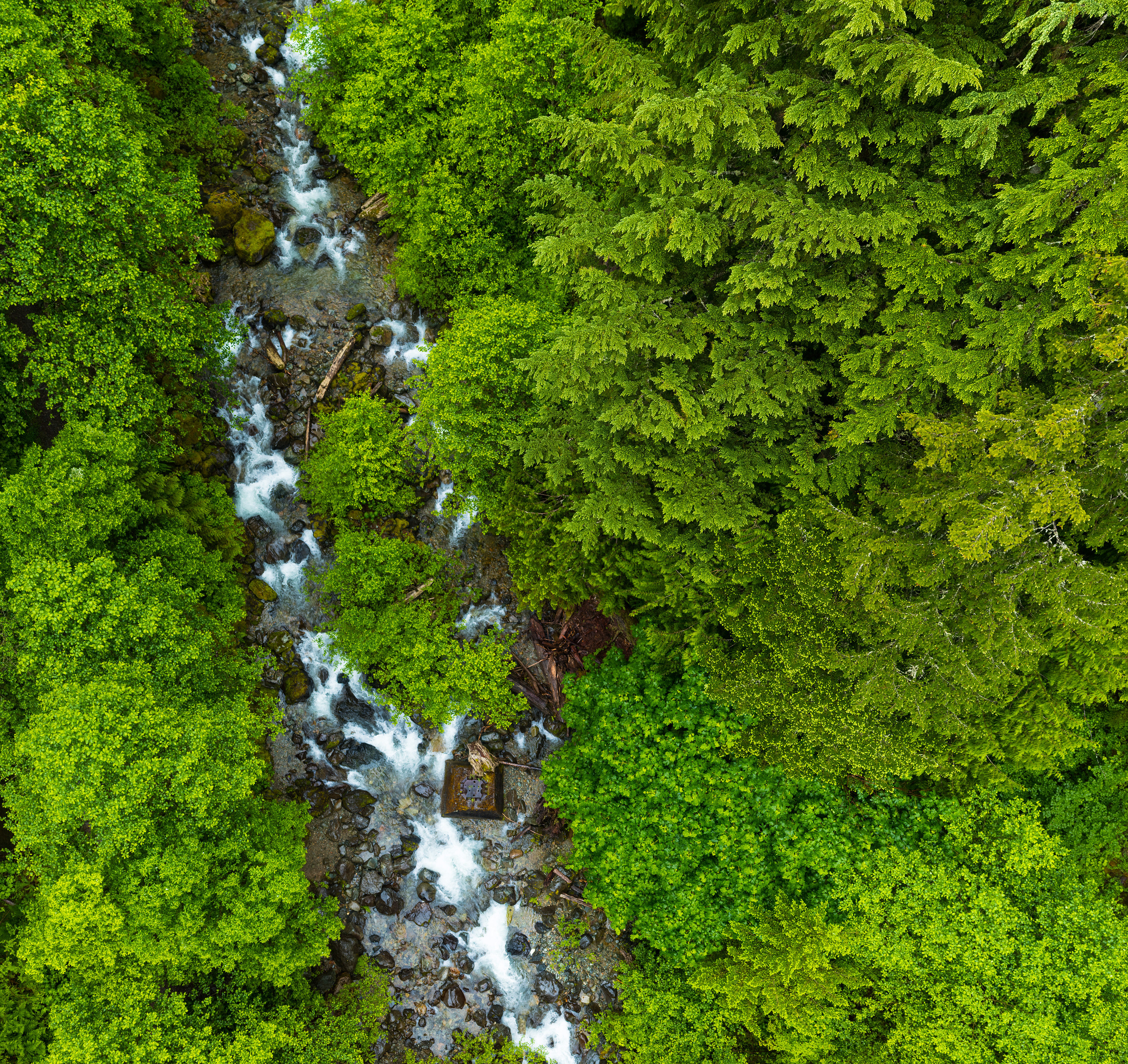 Photograph of Change Creek viewed from the Change Creek Trestle in the Mount Baker–Snoqualmie National Forest, Washington, with flowing water, forested banks, and a historic railway bridge.