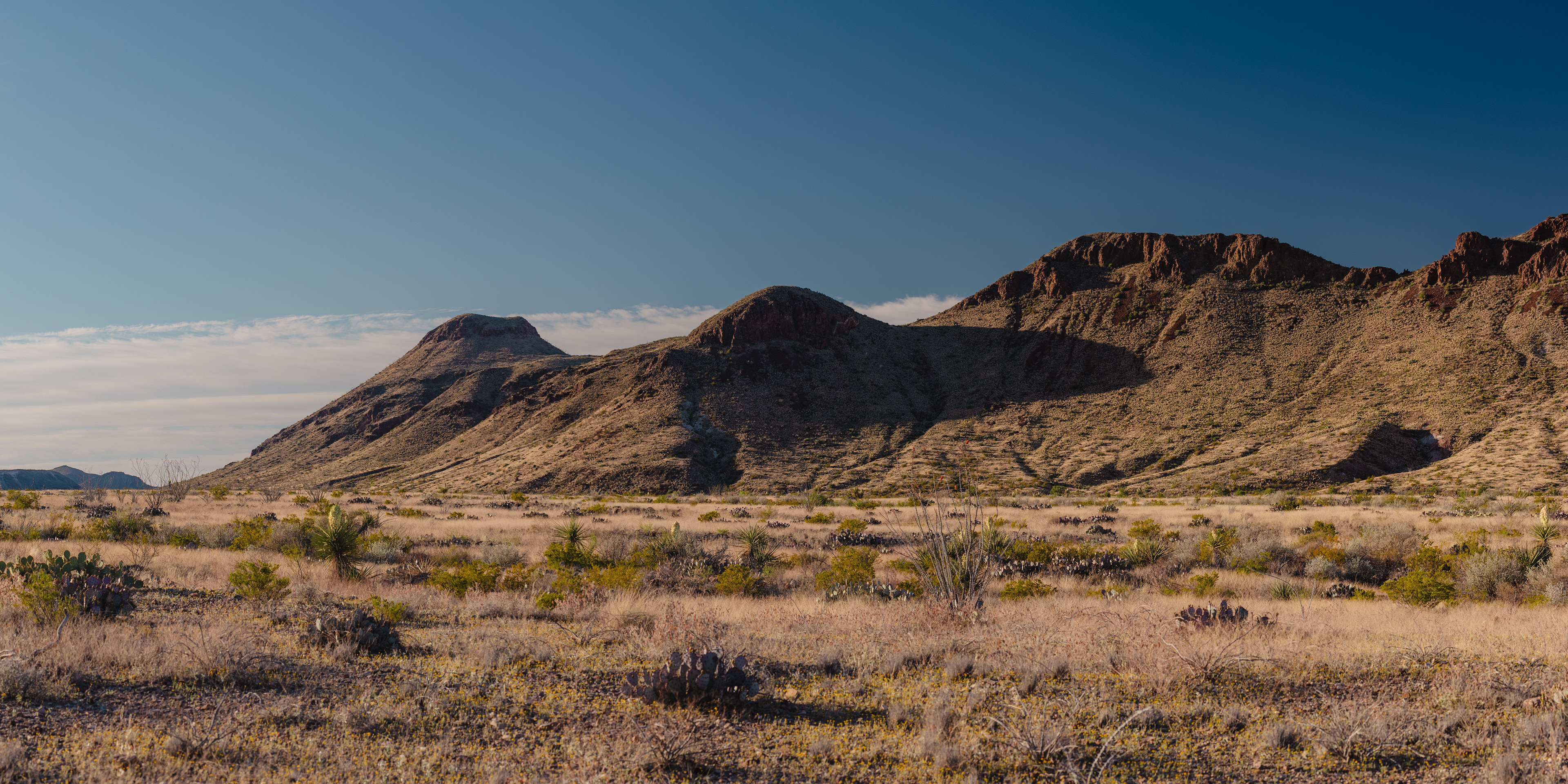 Photograph of desert landscape in Big Bend National Park, Texas.