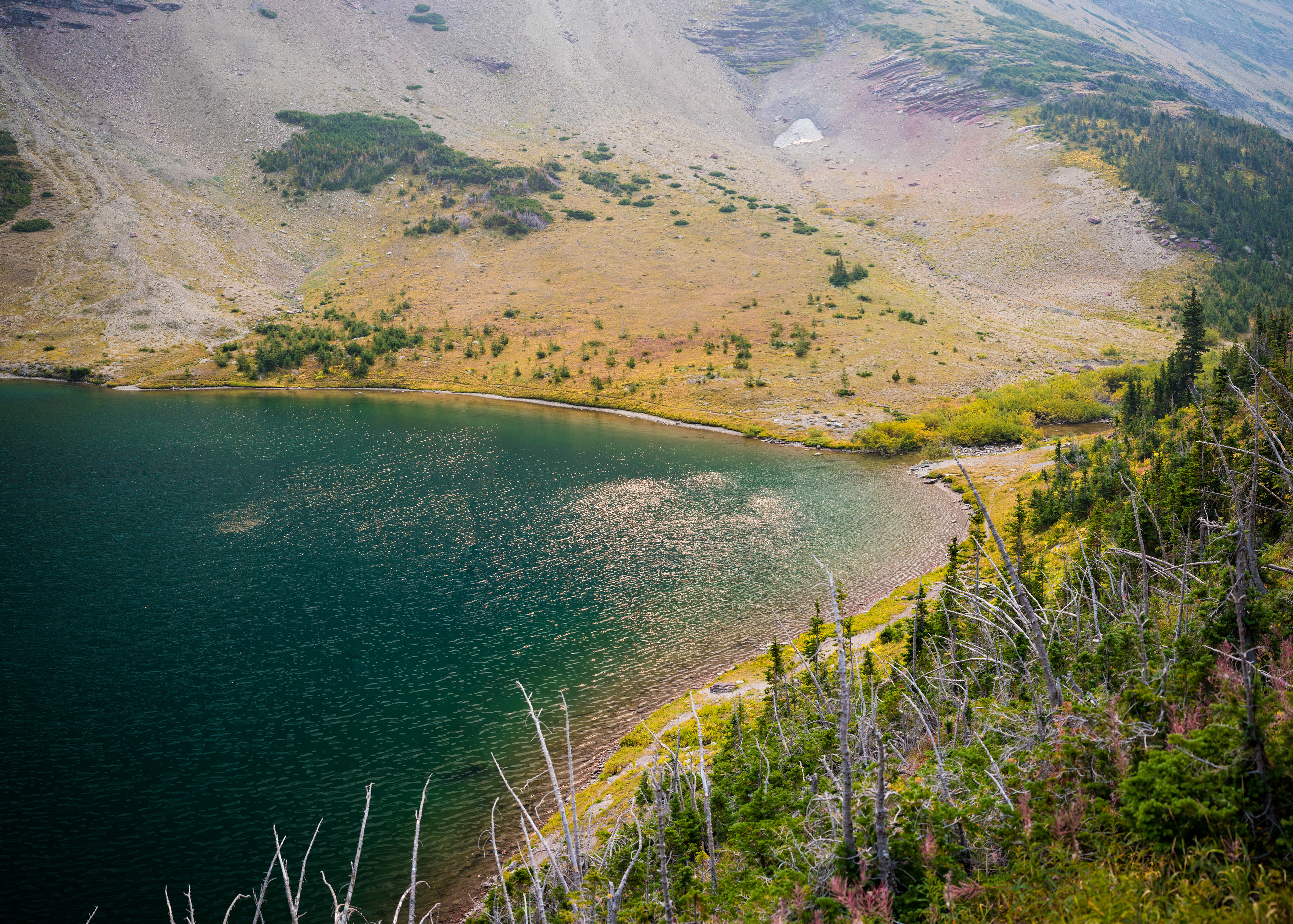 Landscape photograph of the south shore of Ptarmigan Lake in Glacier National Park, Montana, featuring an alpine lake, rugged peaks, and subalpine scenery.