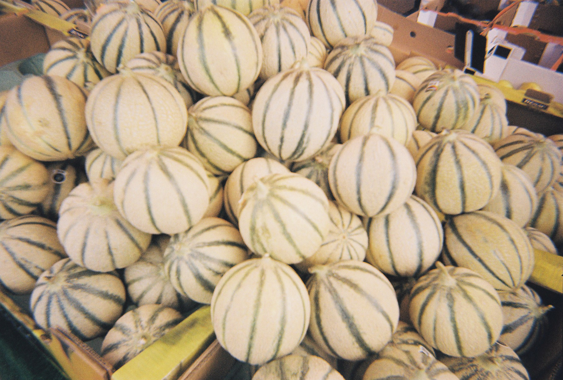 Locmariaquer, France