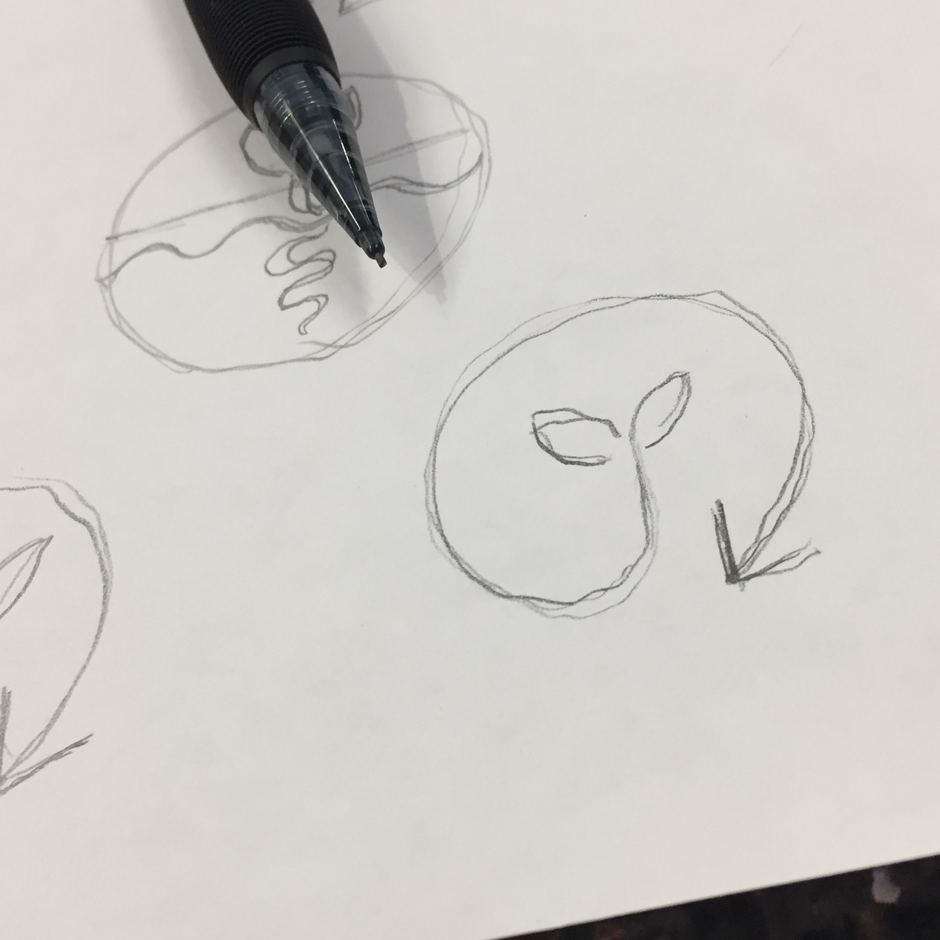 The logo sketch