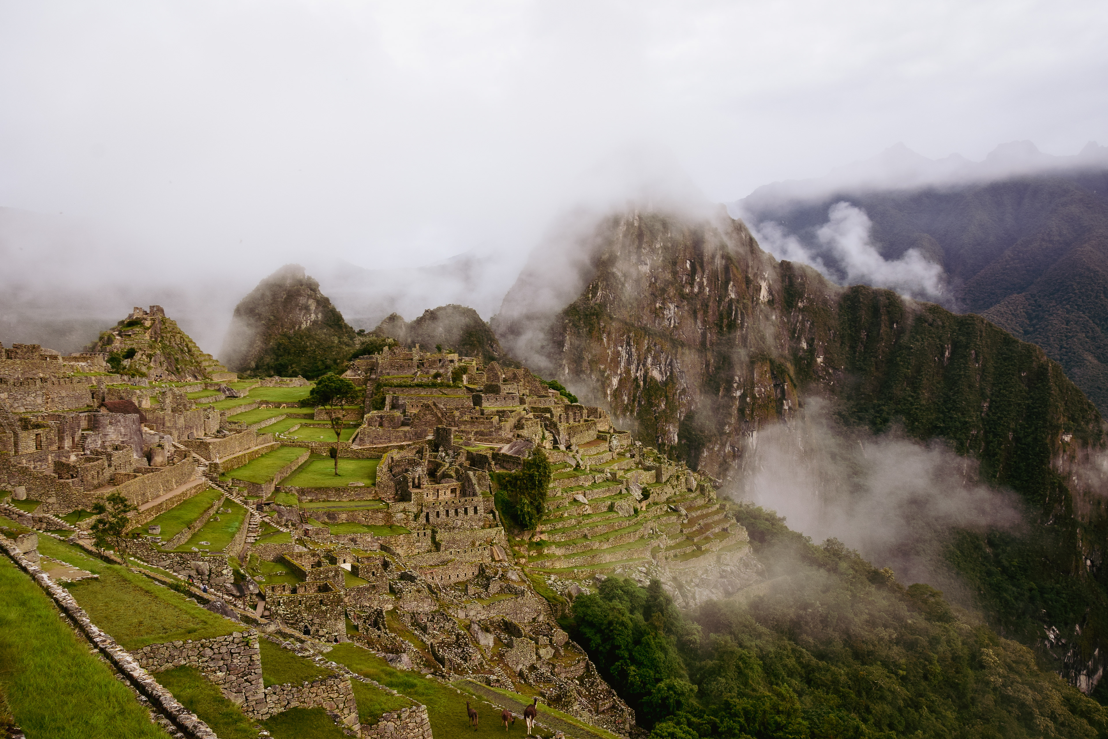 Machu Picchu, Peru