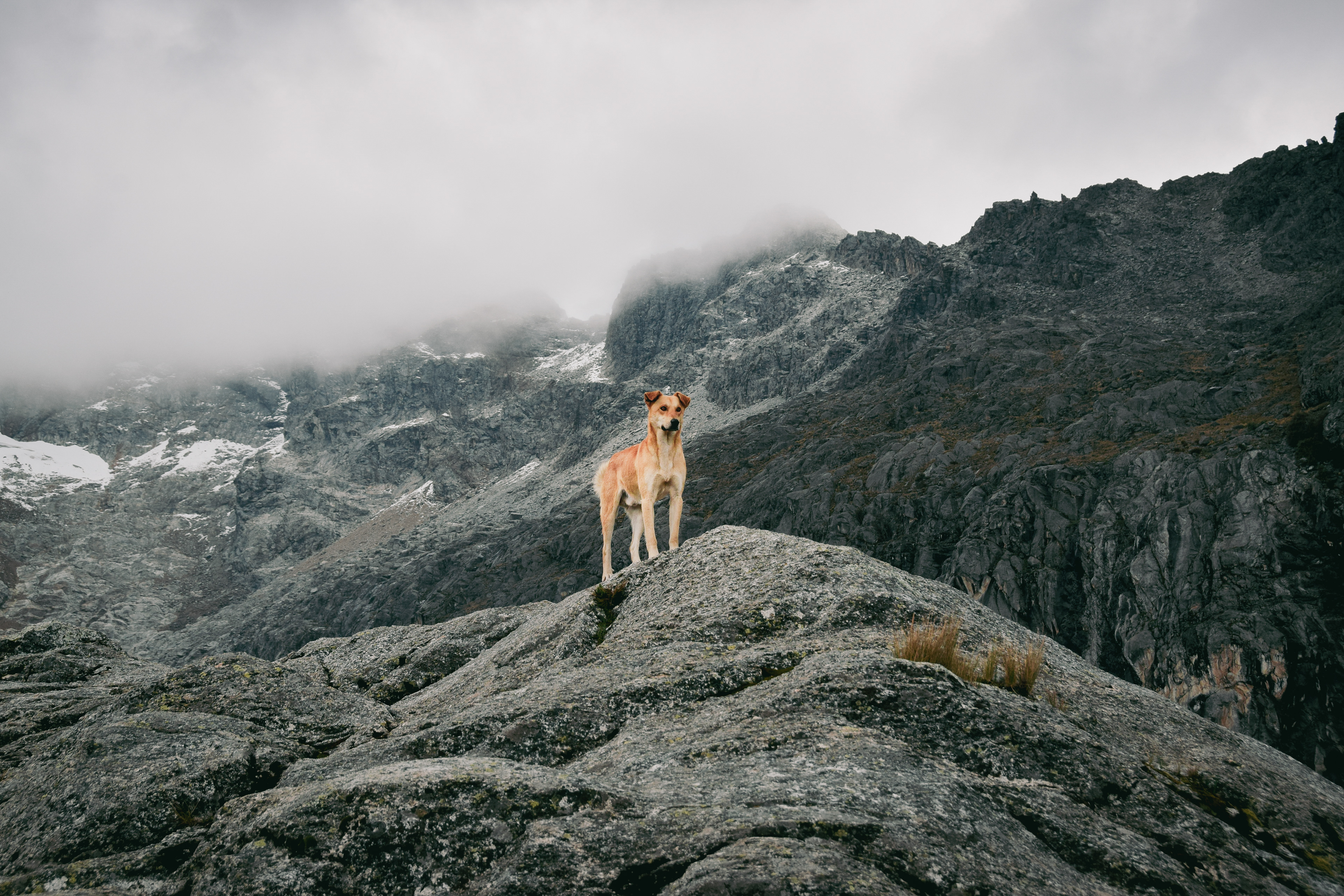 Ecuador