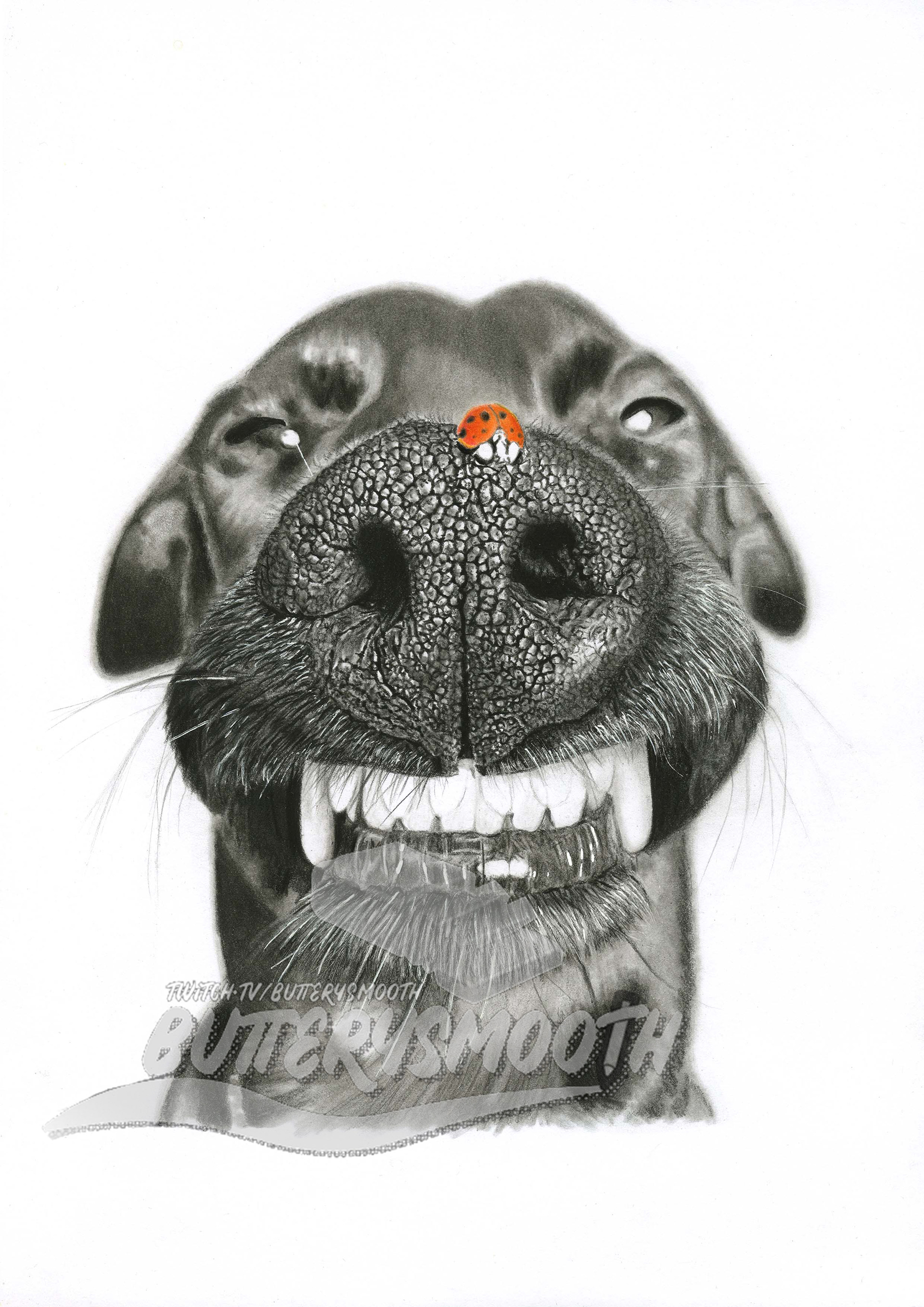"Ladybug Doggo"