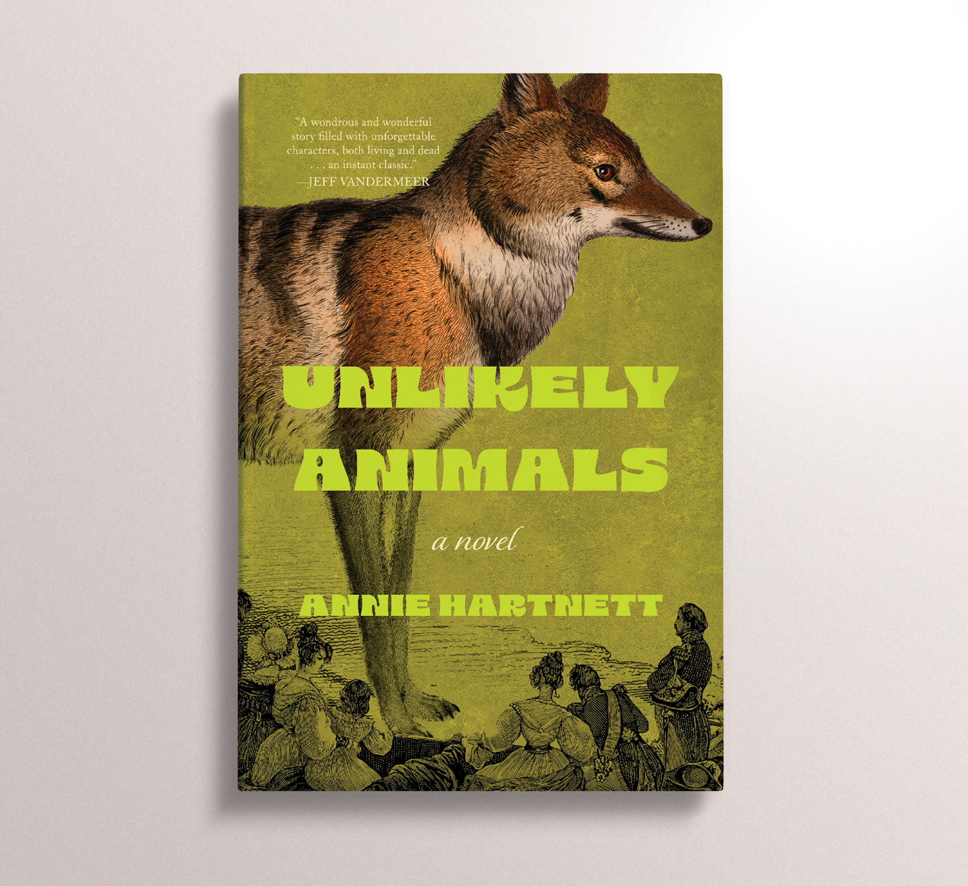 Self-directed personal project / This cover for Annie Hartnett's delightful literary fiction novel alludes to some of the absurd narrative devices and themes, while using type and imagery that is aligned with the playful and often very funny ways the story surprises the reader.