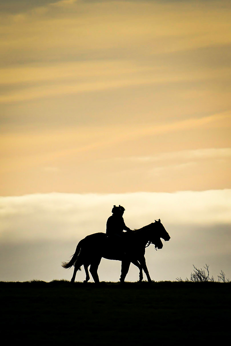 Race Horse Training