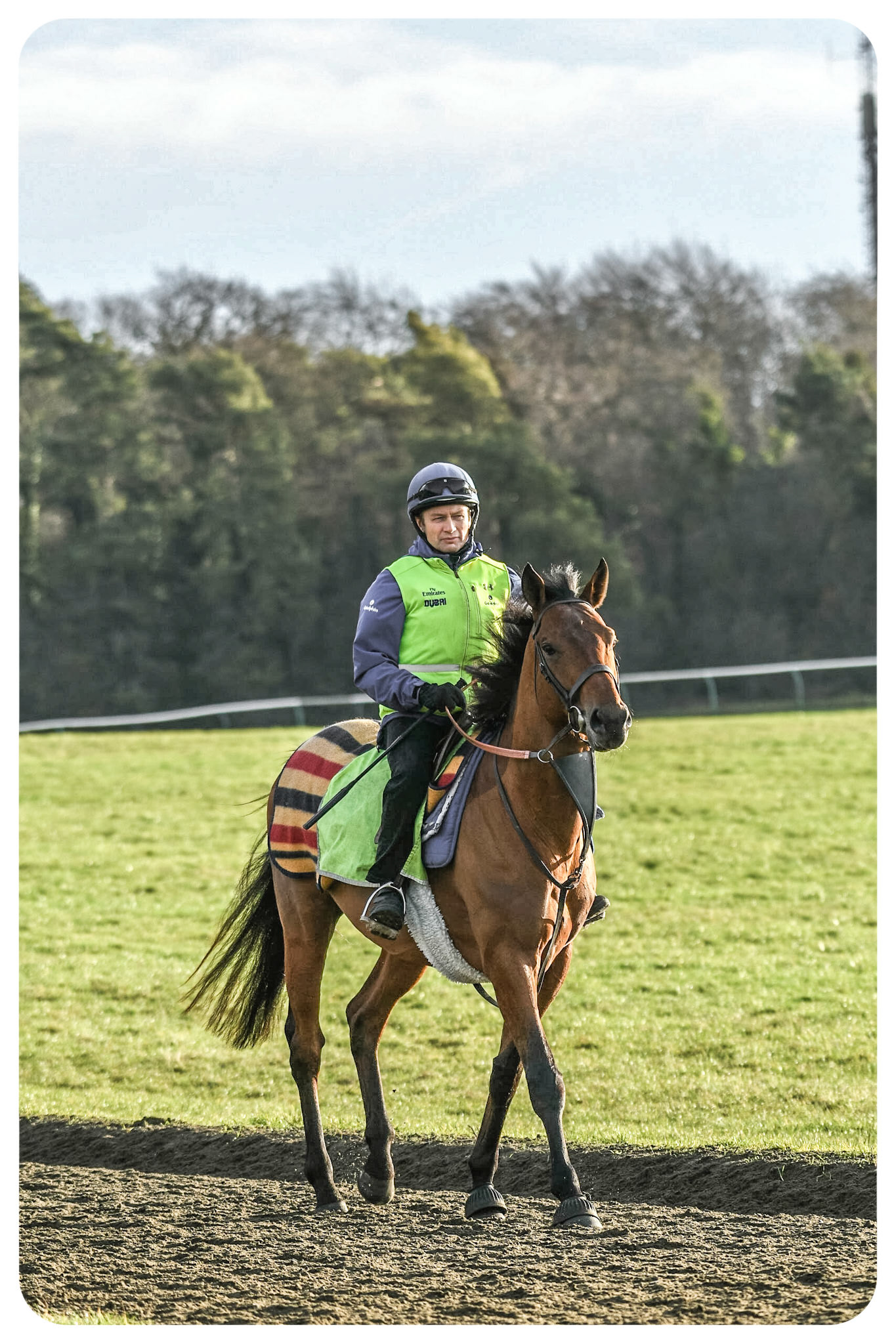 Race Horse Training