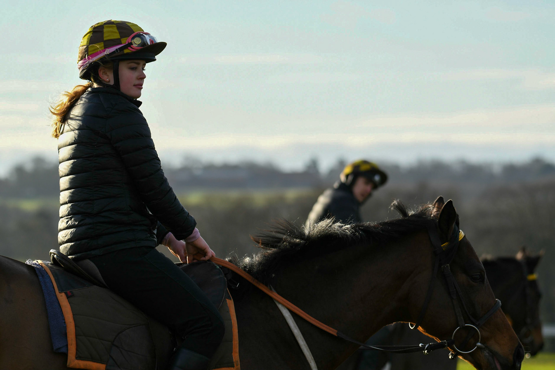 Race Horse Training