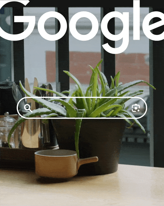 Google Search Social Campaign