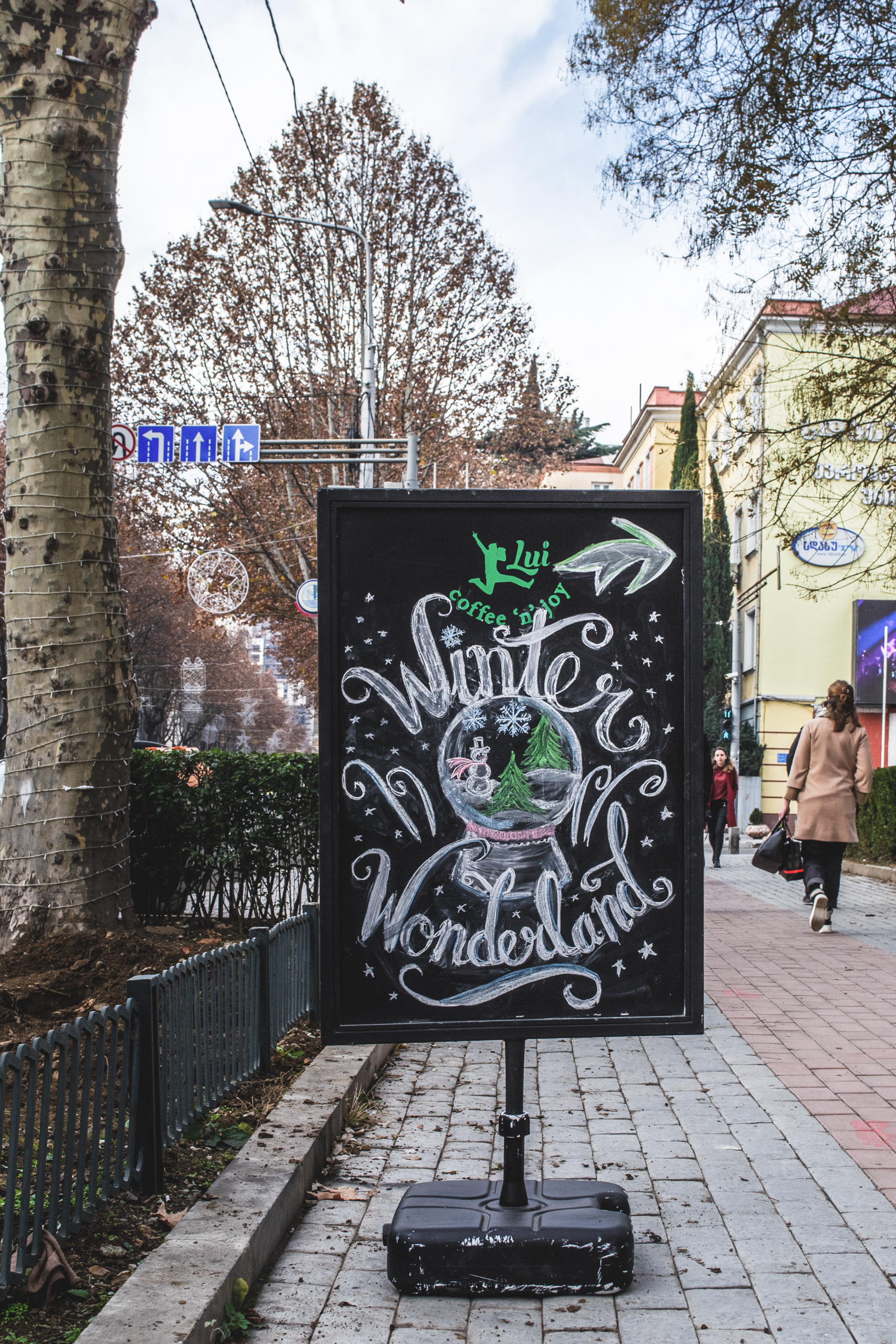 Winter Board
