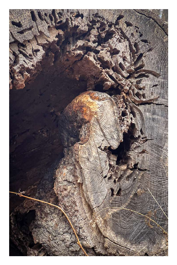 The grounded space blueprint