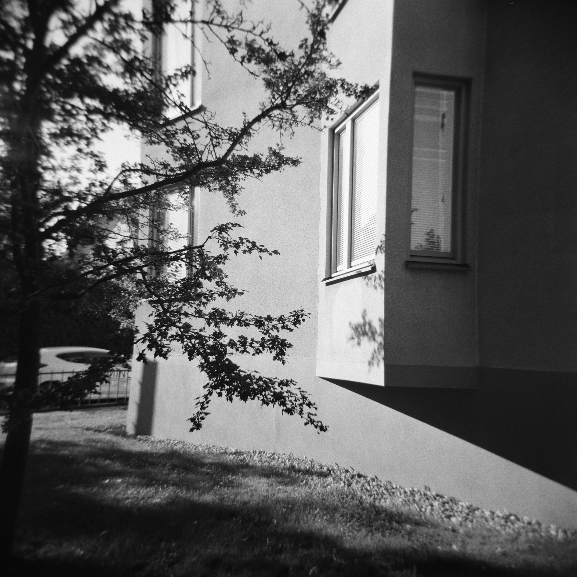 ONEKLIGEN (2023) Filmstock: Ilford Kentmere Pan 400