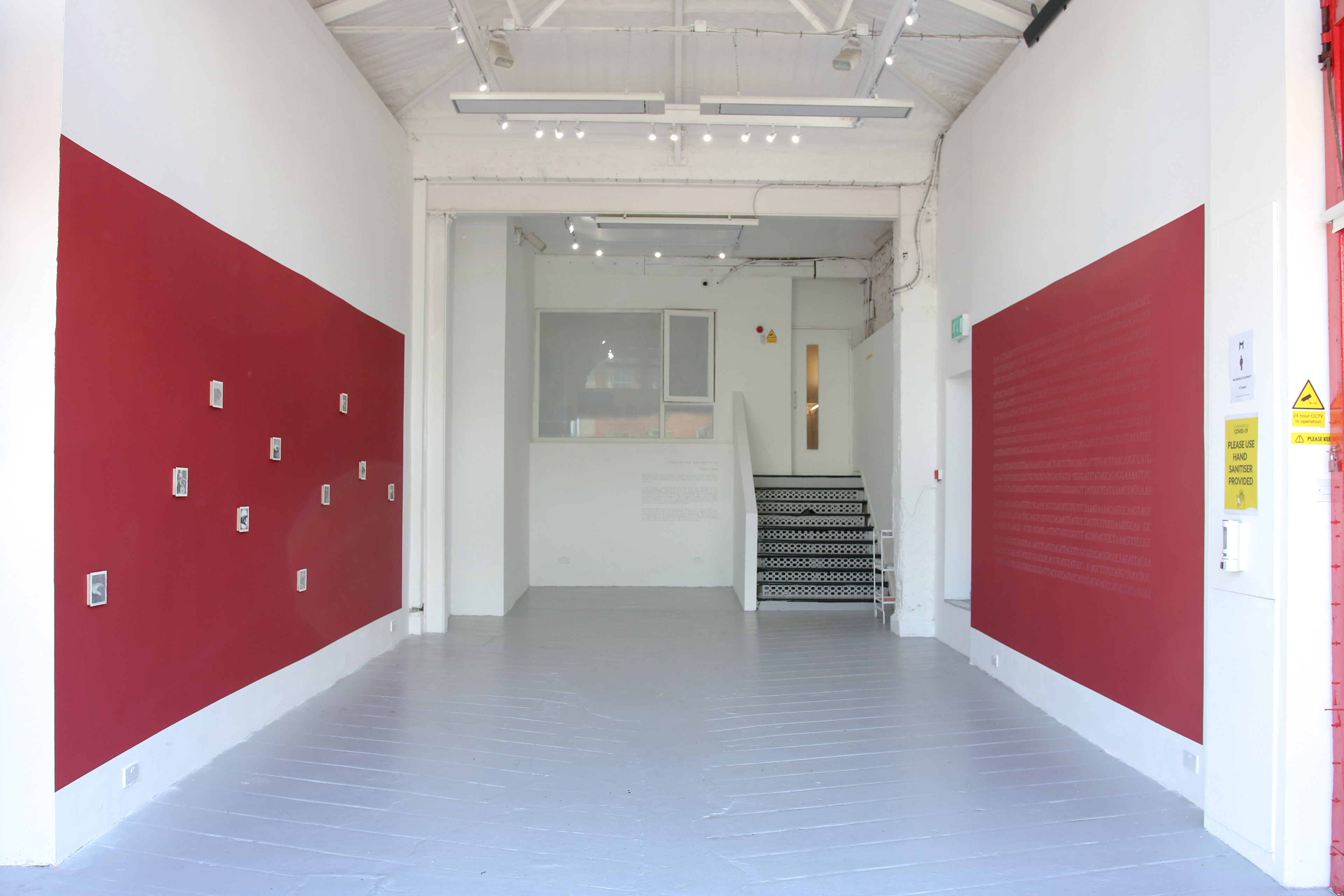 Installation view
