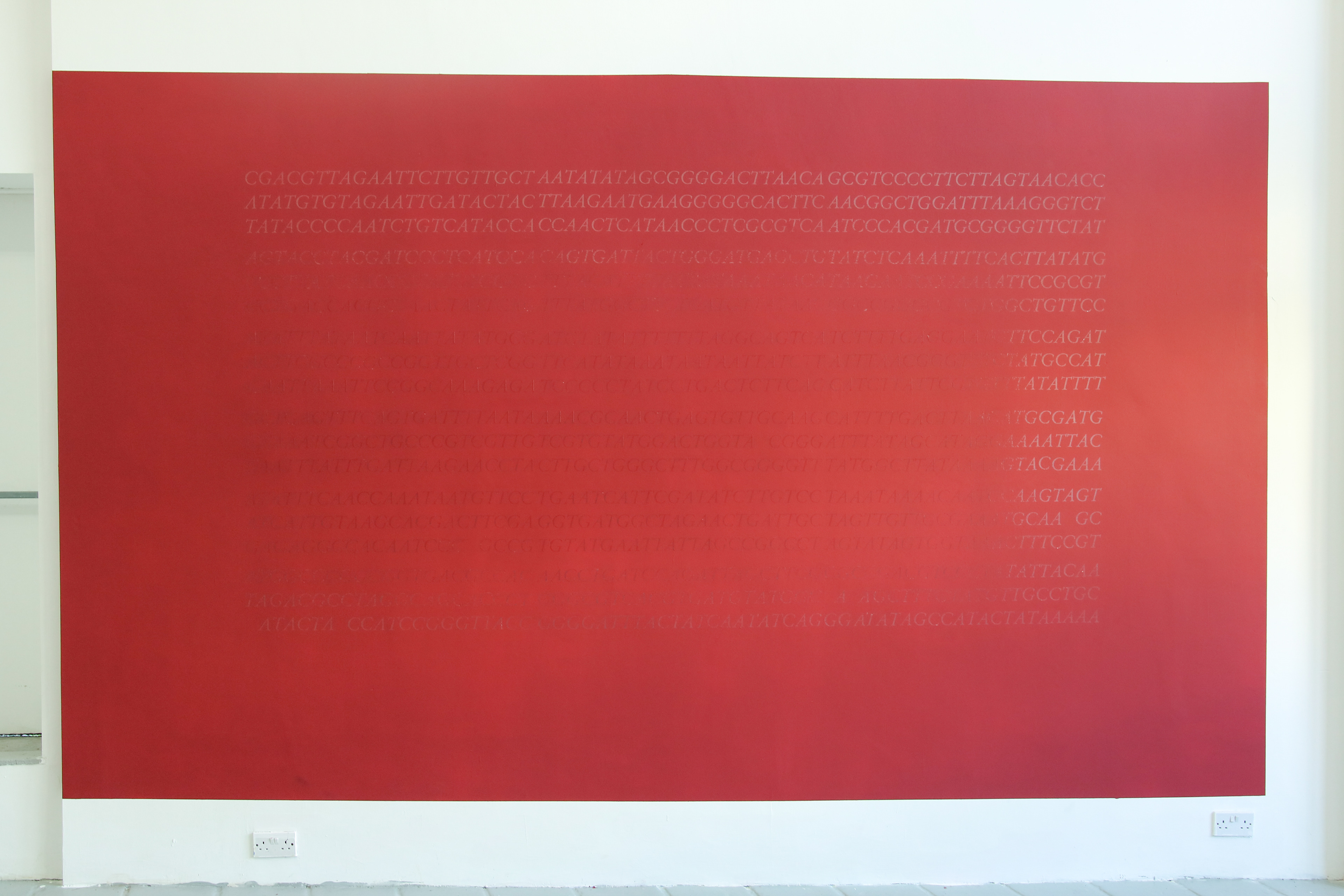 “Until It’s Time For You To Go”, 2020 Vinyl Text Installation, Dimensions Variable.