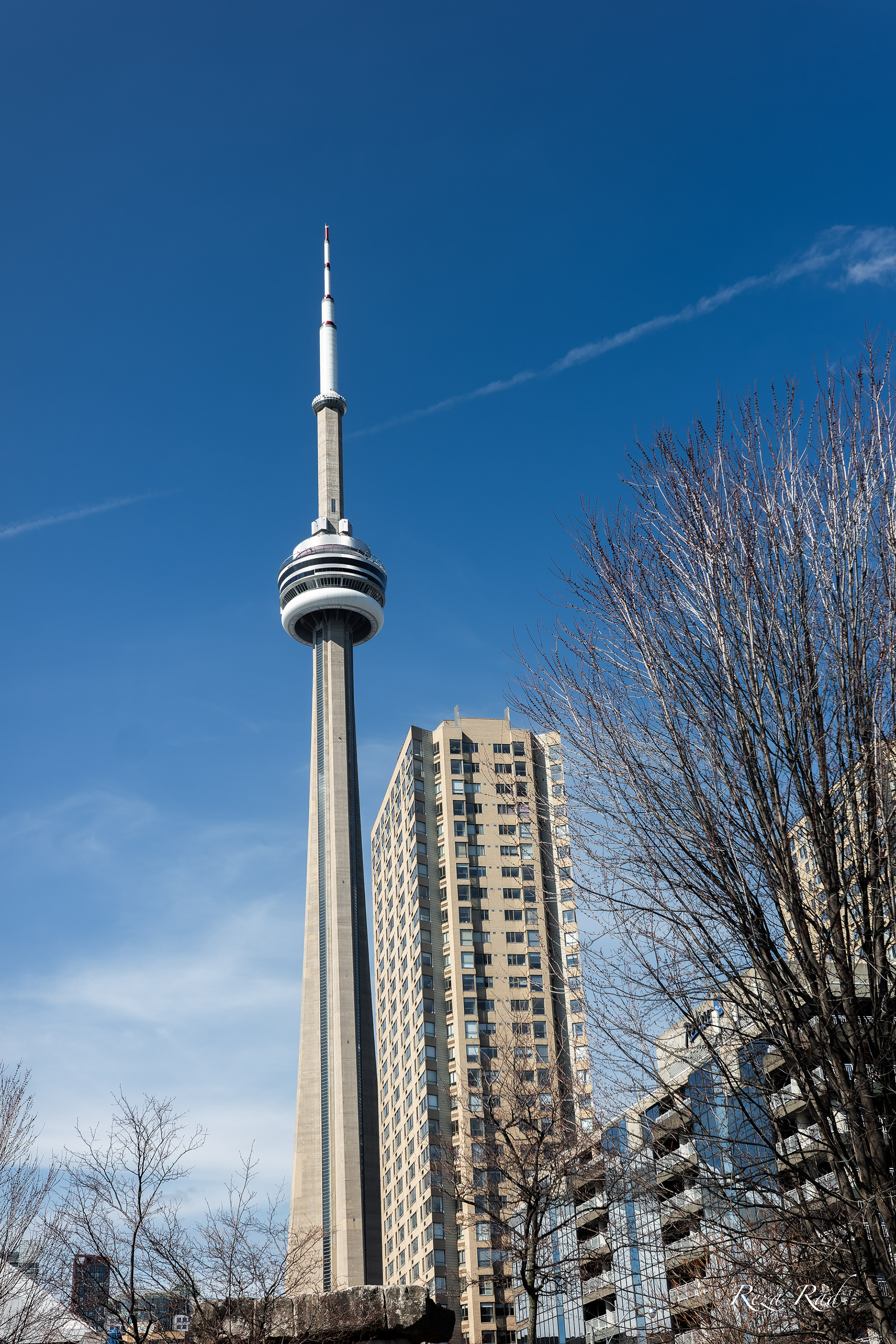 CN Tower