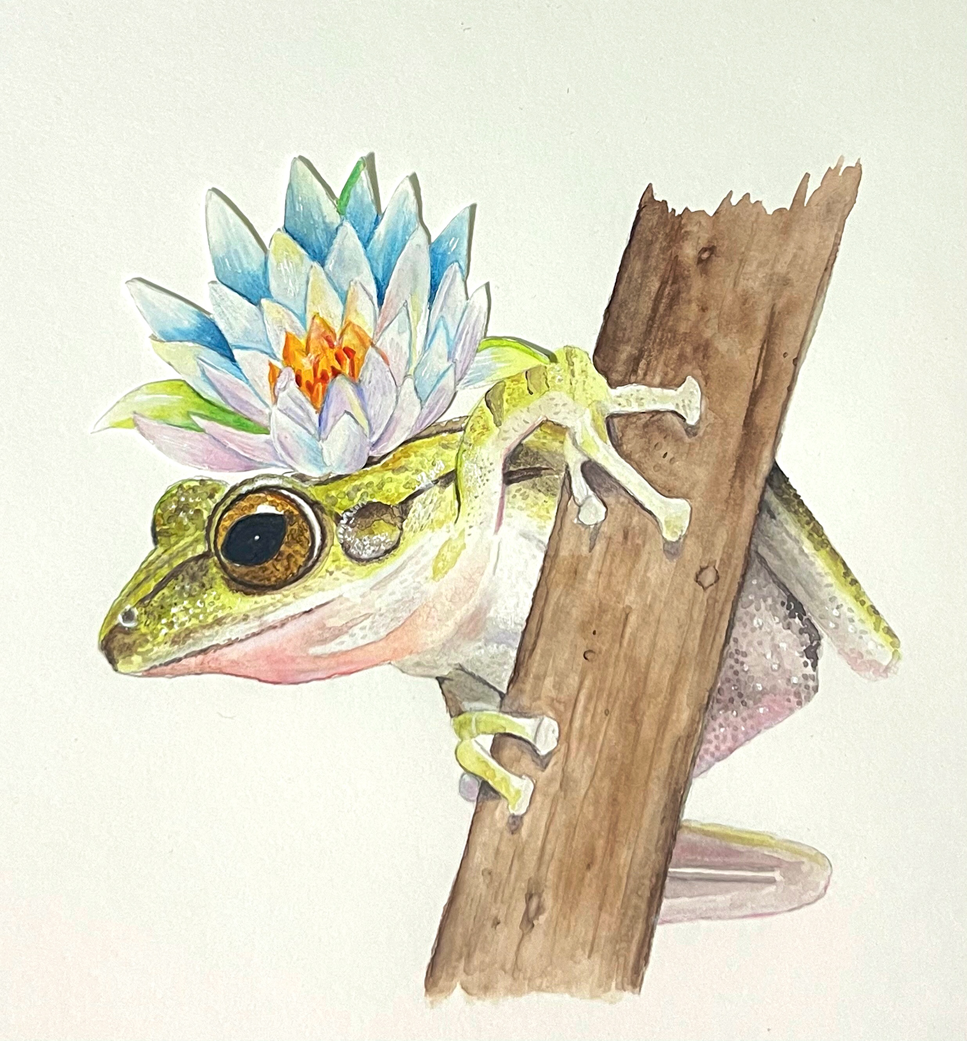 Watercolor 9x12