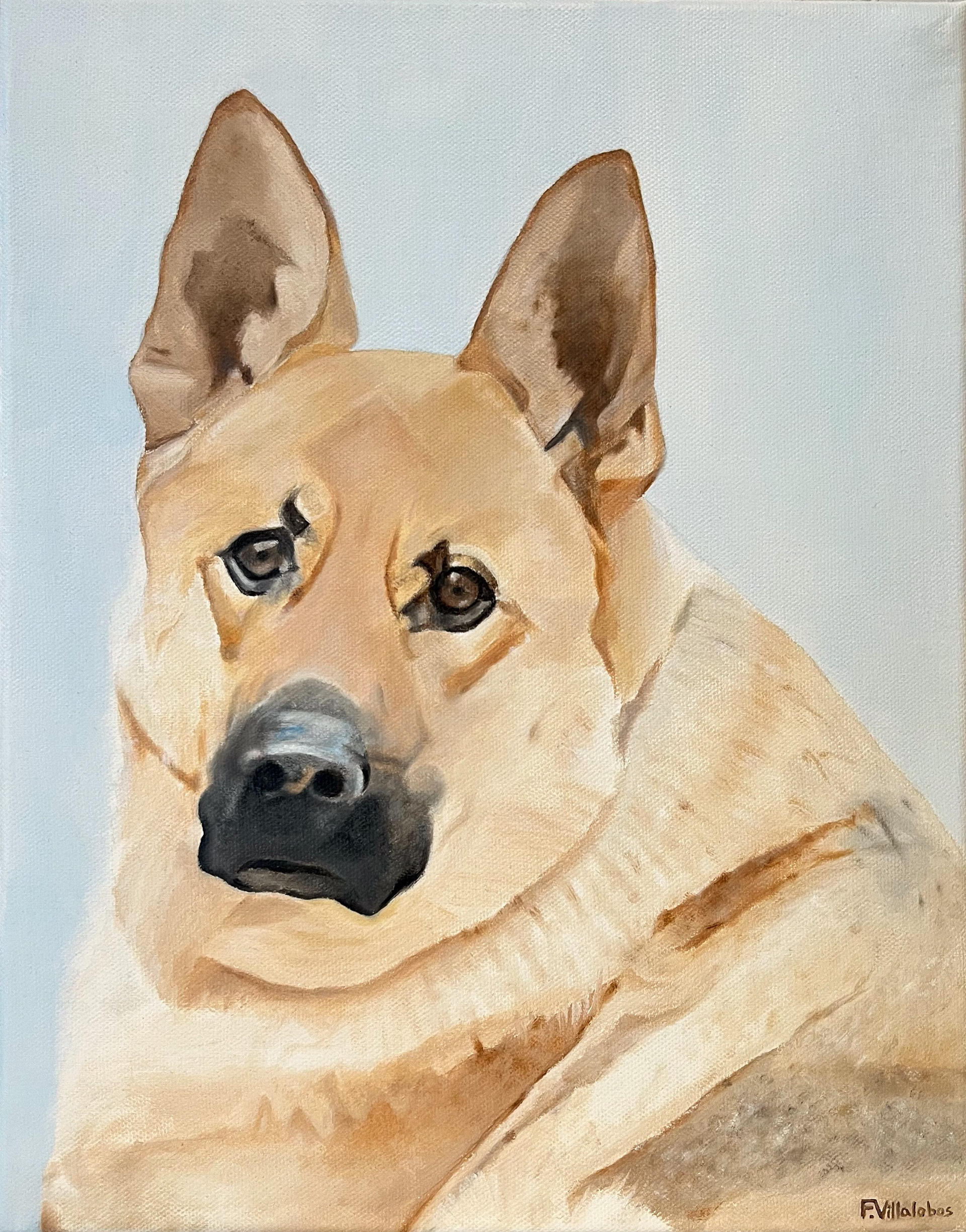 Oil on Canvas 11x14
