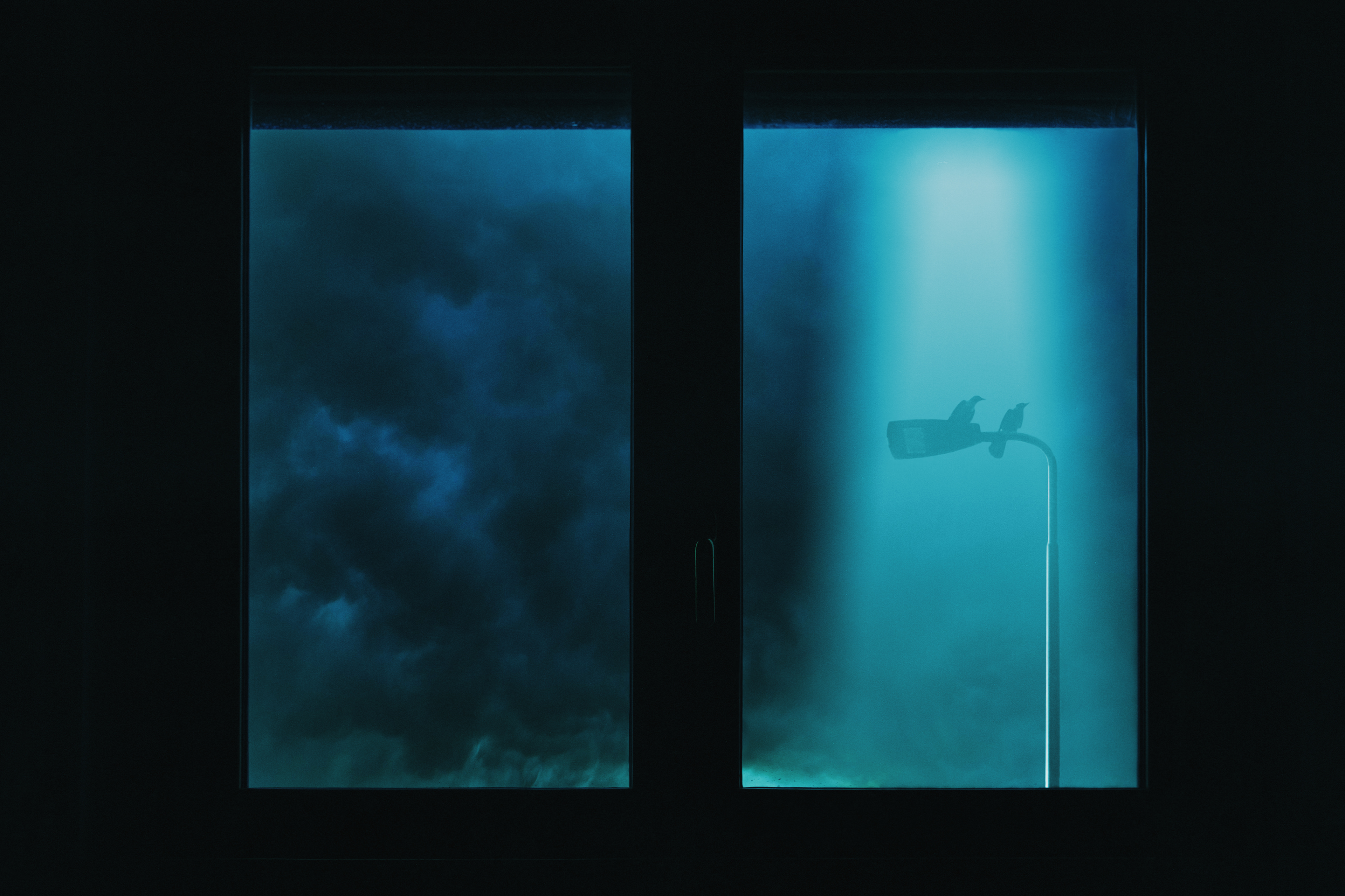The window
