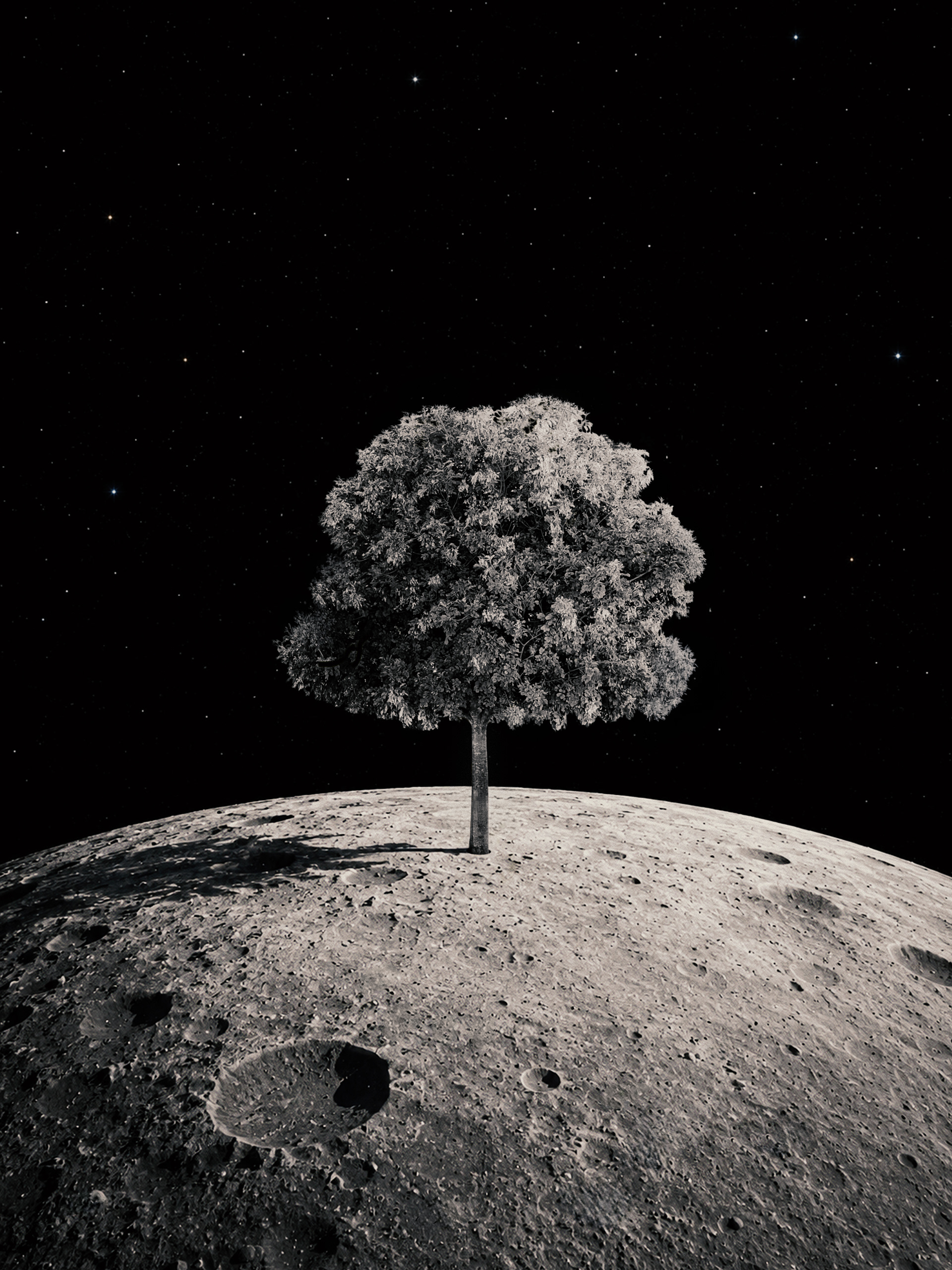 Digital artwork · Original photography · Creativity enhanced by AI (Moon)
