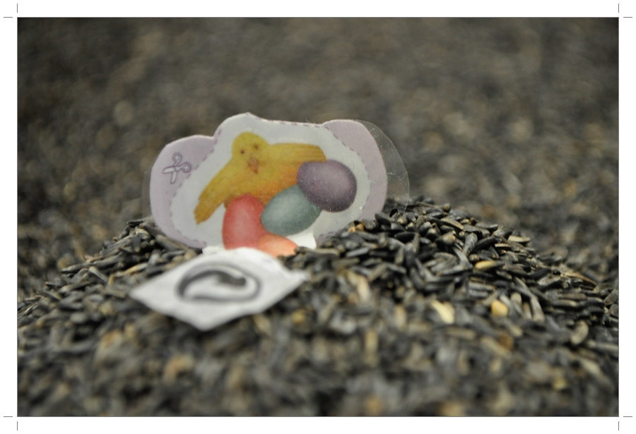 Atelier Pictures 2014-2015