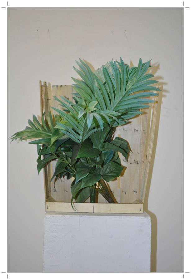 Atelier Pictures 2014-2015