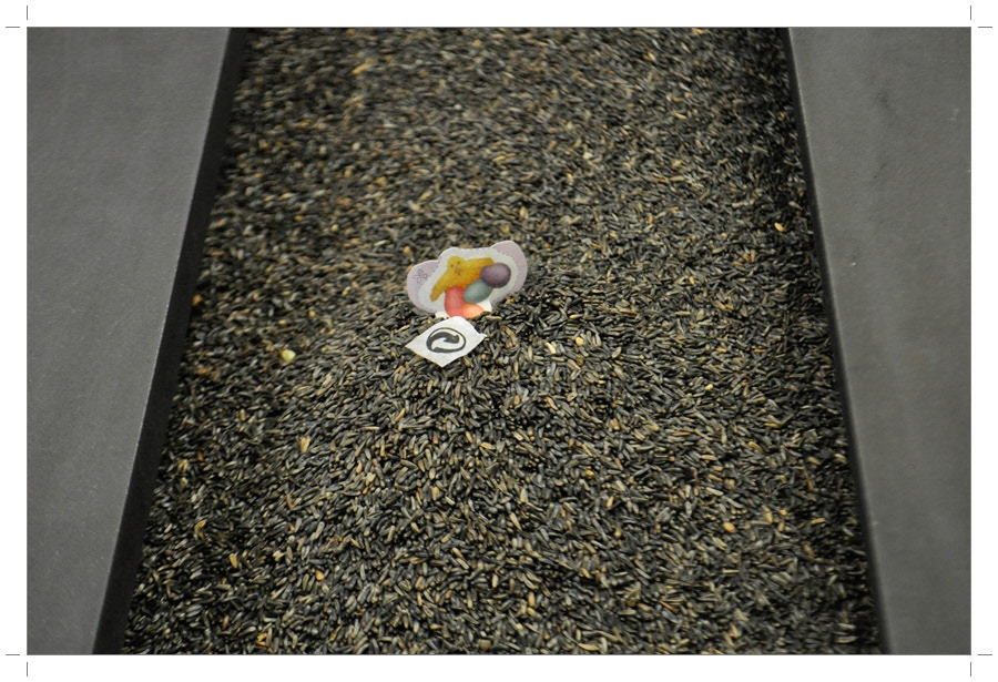 Atelier Pictures 2014-2015