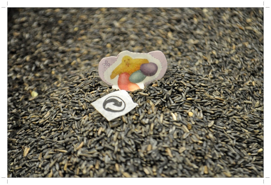 Atelier Pictures 2014-2015