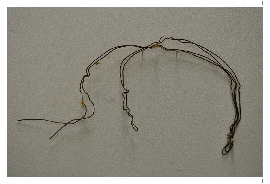 Atelier Pictures 2014-2015