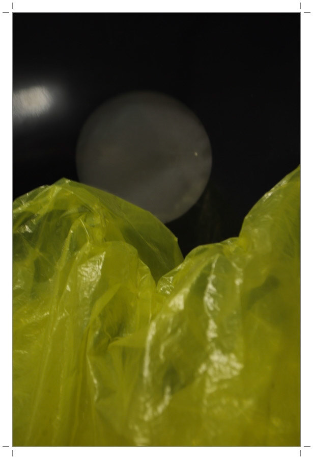 Atelier Pictures 2014-2015