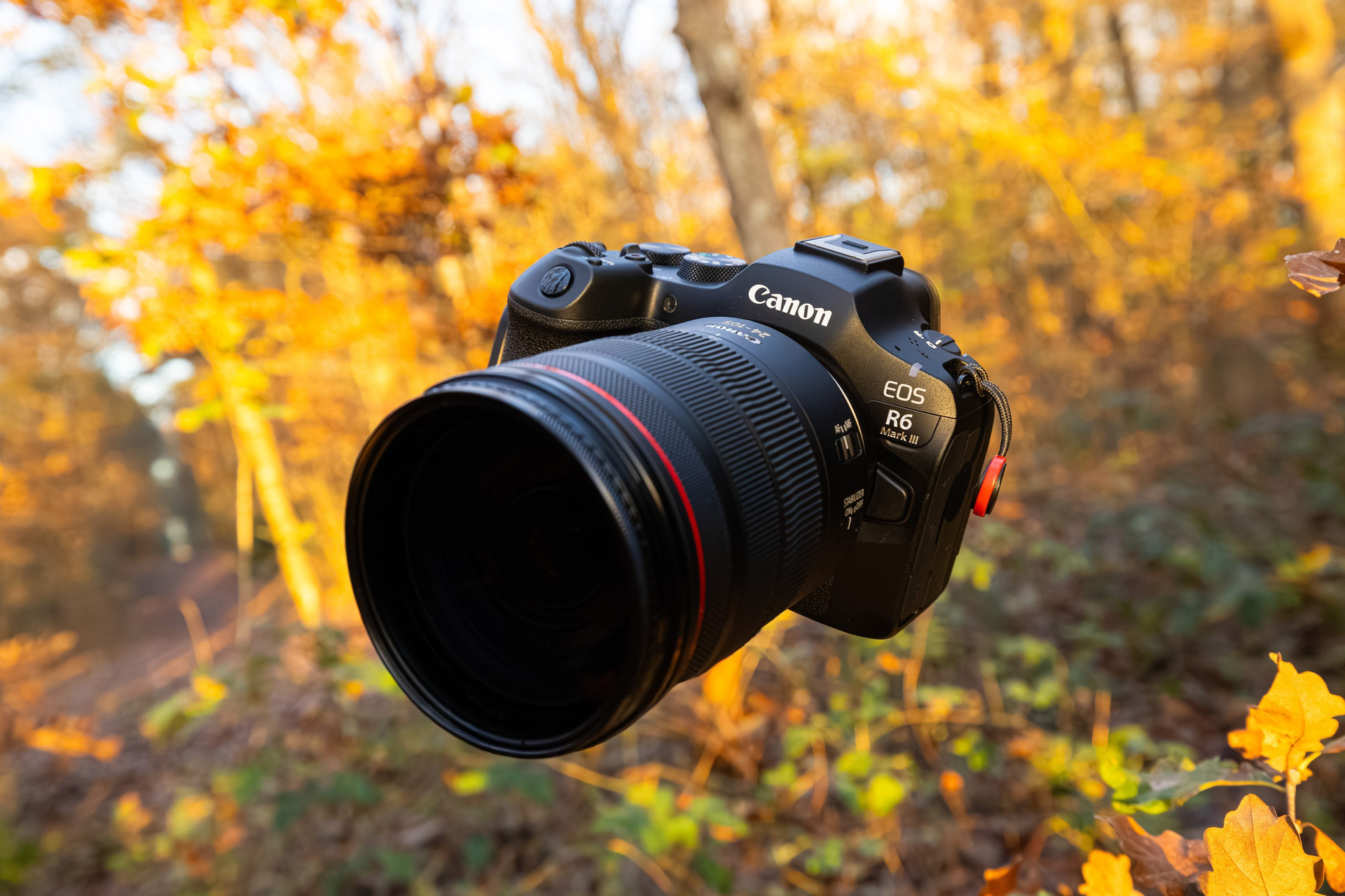 Le Canon EOS R6 Mark III se fond dans les teintes chaudes de l’automne, prêt à capturer la magie des saisons.