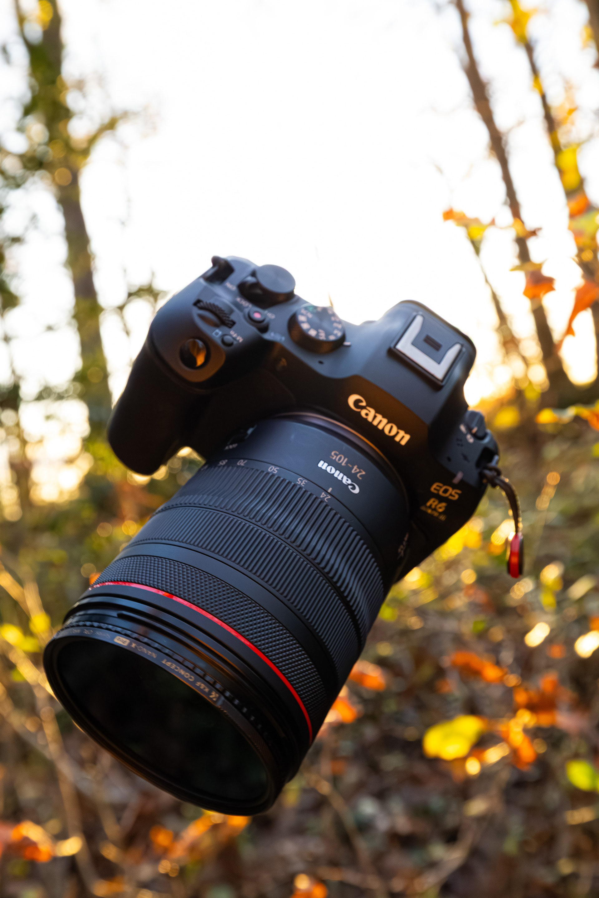 Prêt à explorer : le Canon EOS R6 Mark III, allié des photographes en quête d’aventure et d’inspiration.