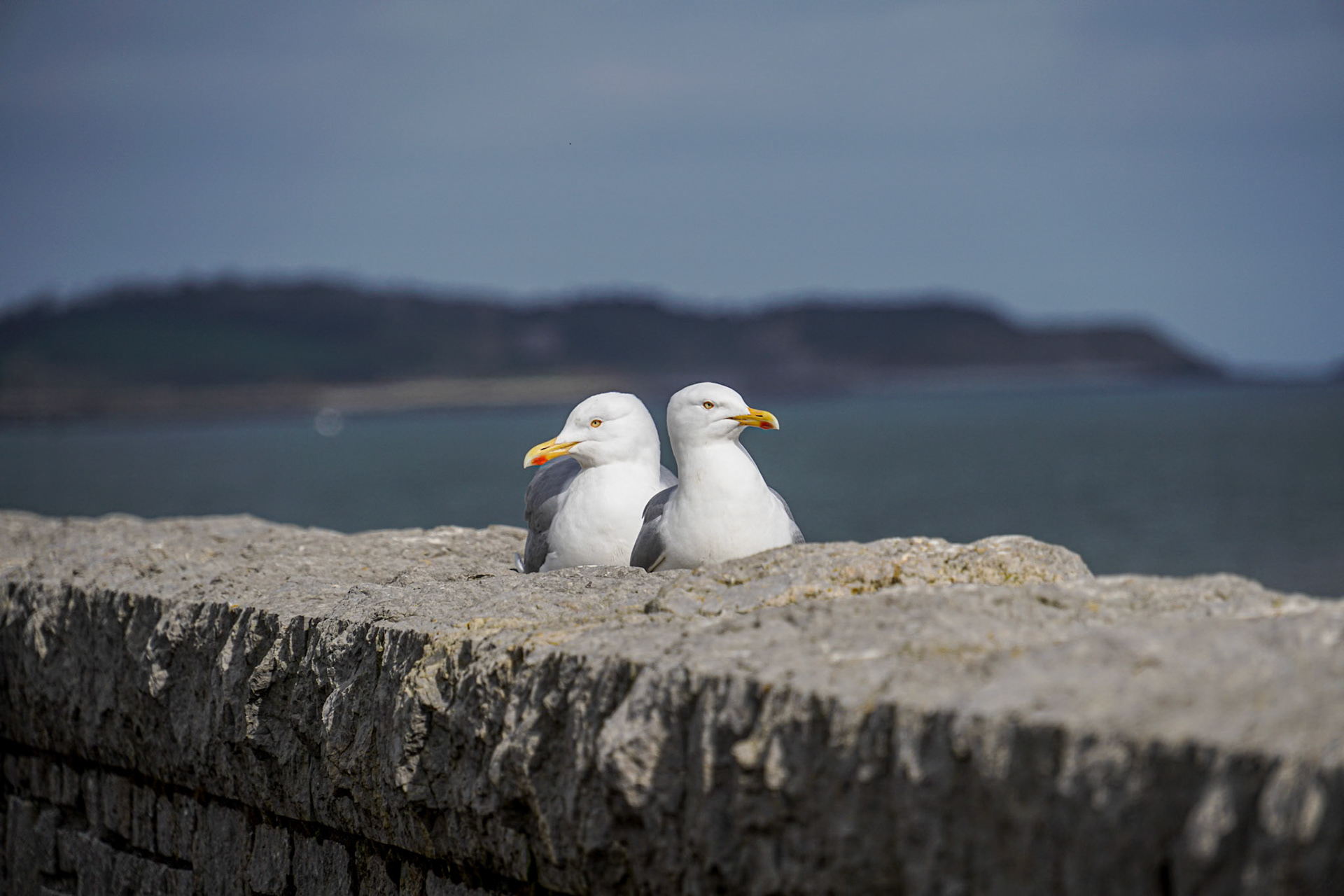 Beaumaris