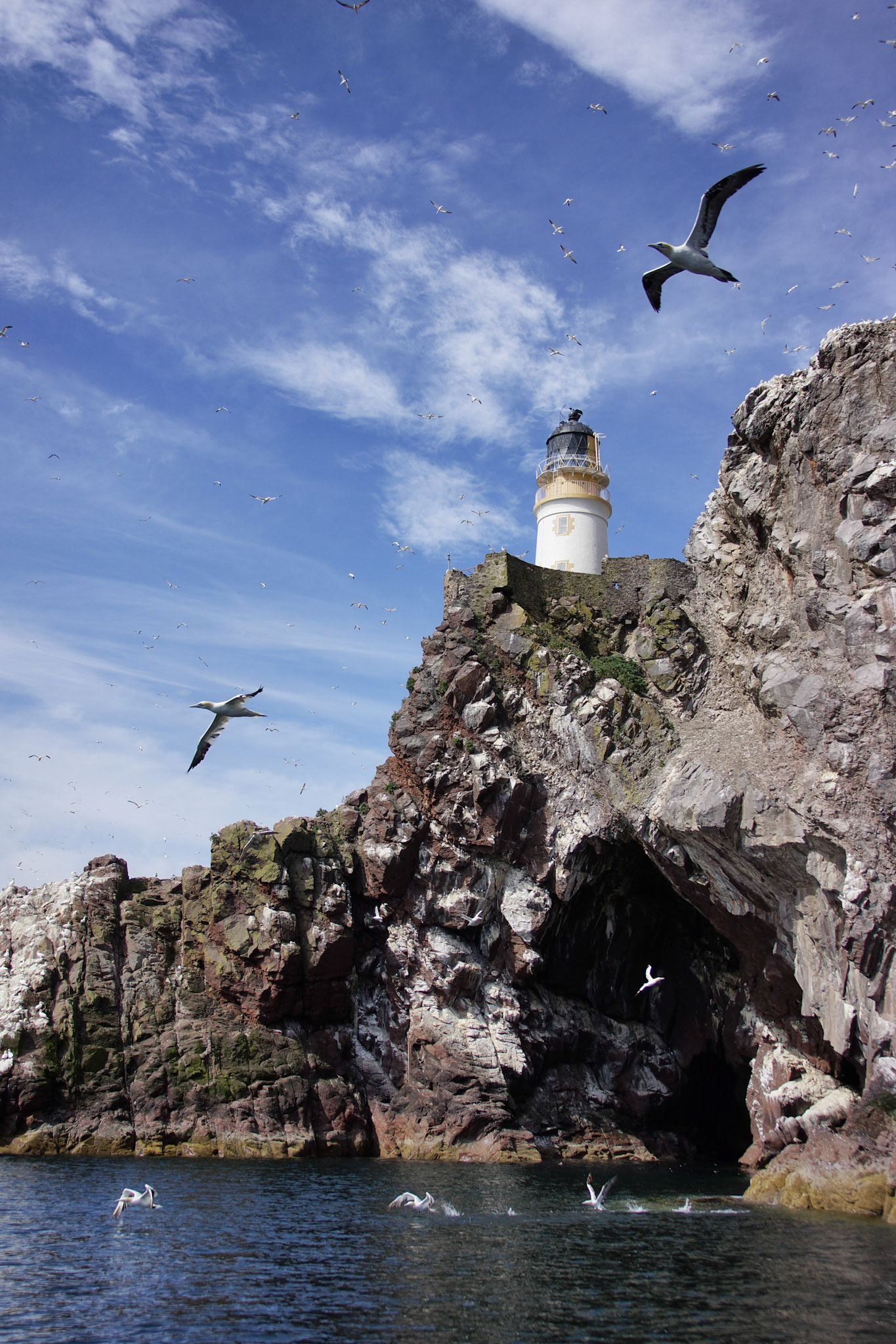 Bass Rock lighthouse
