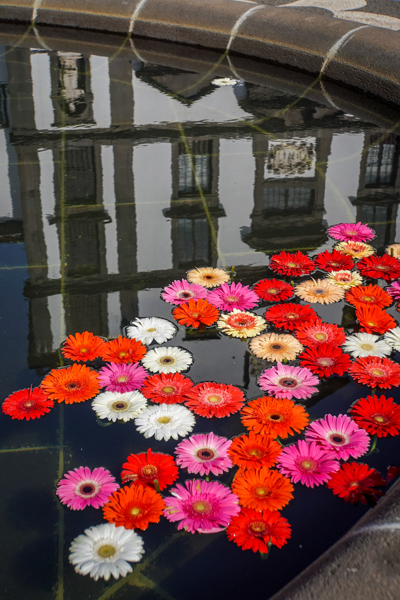 Funchal