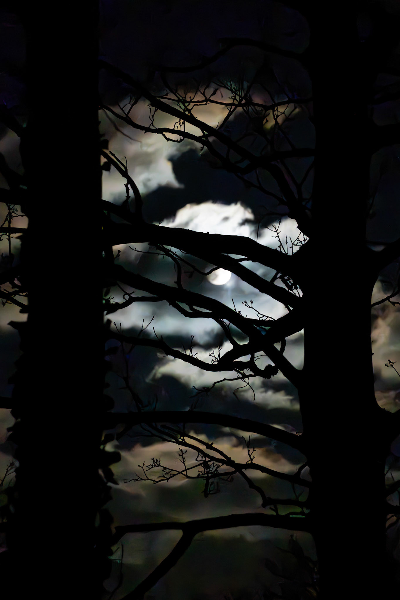 Moon