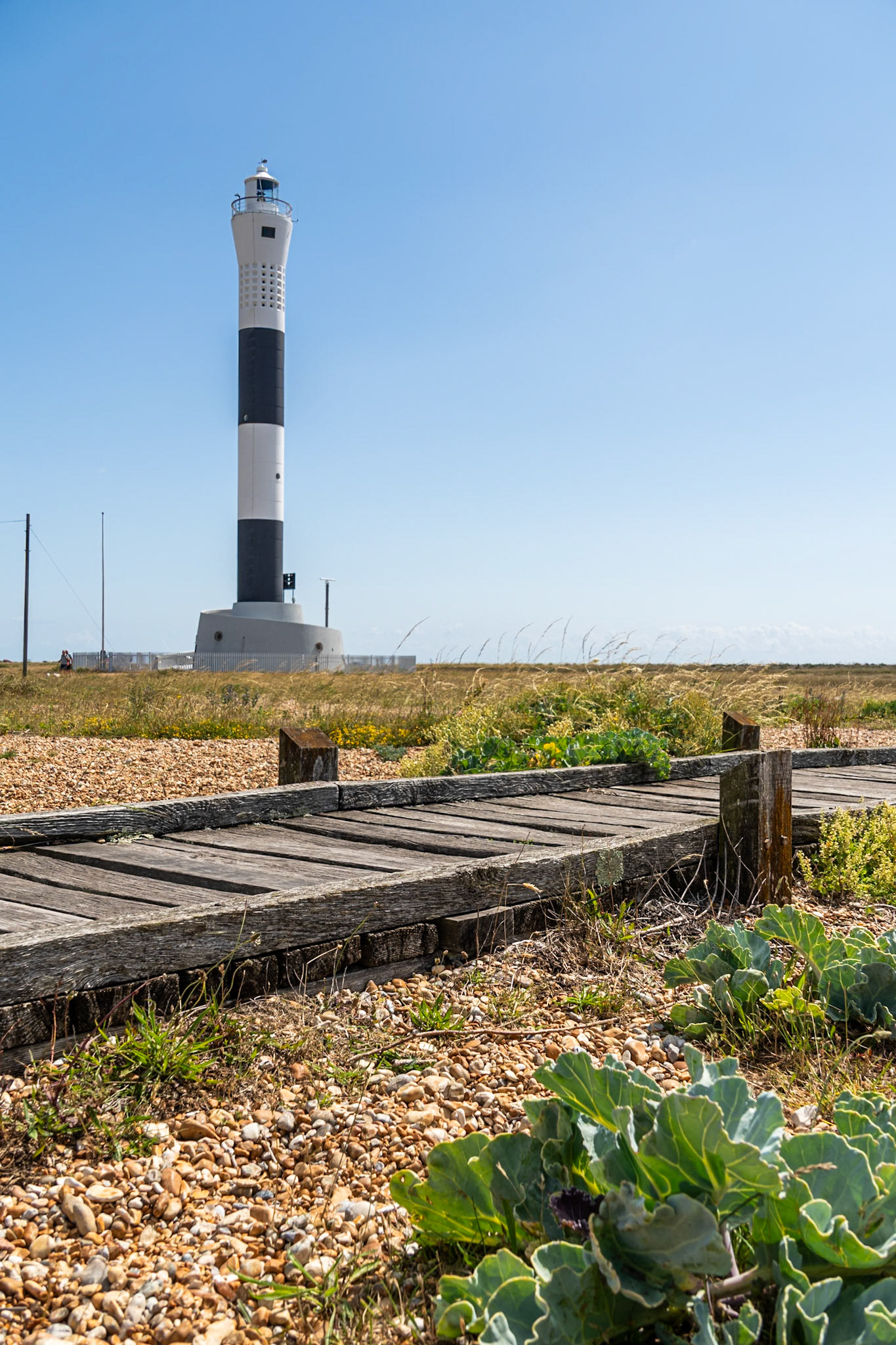 Dungeness