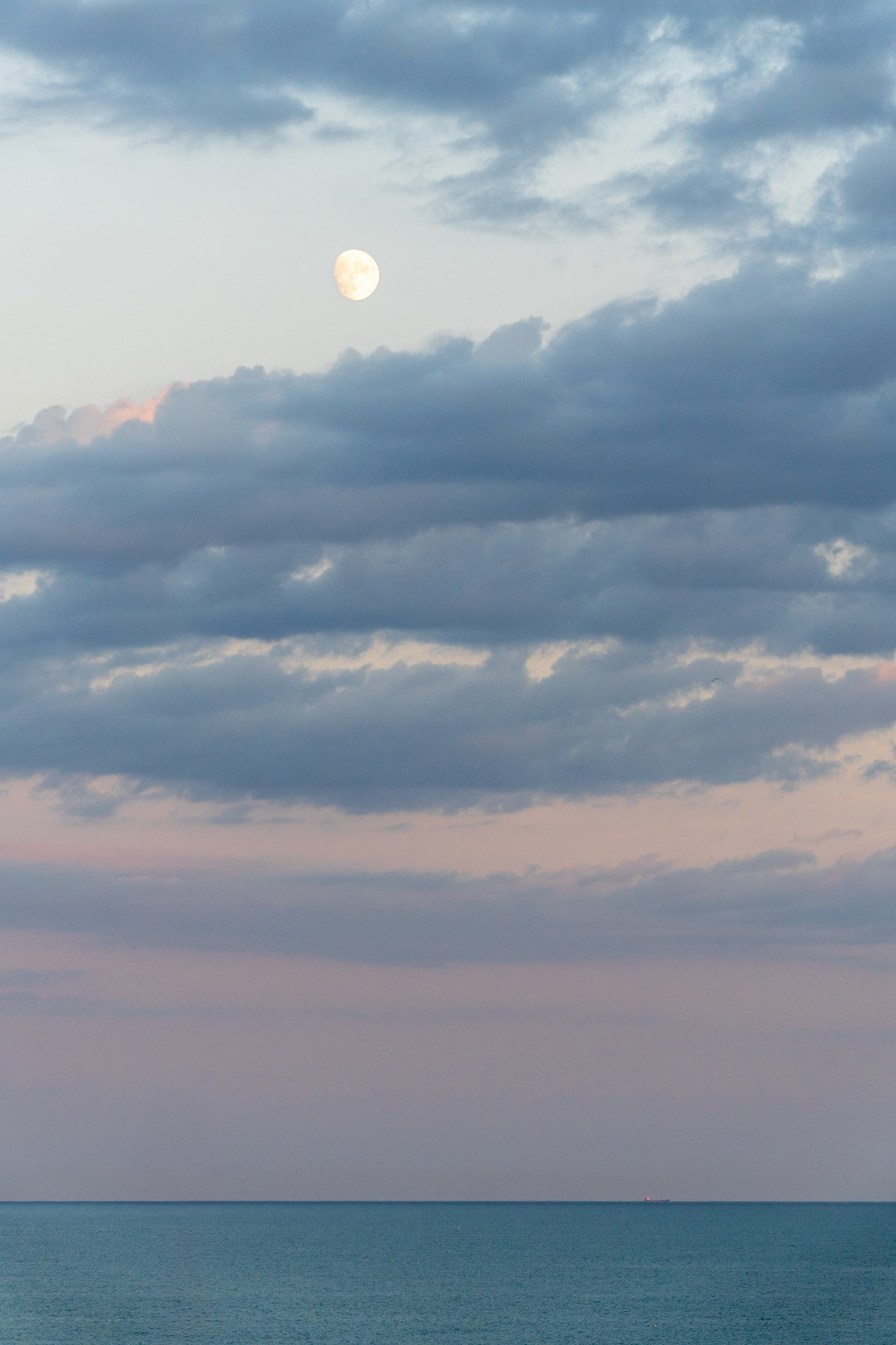 Moon