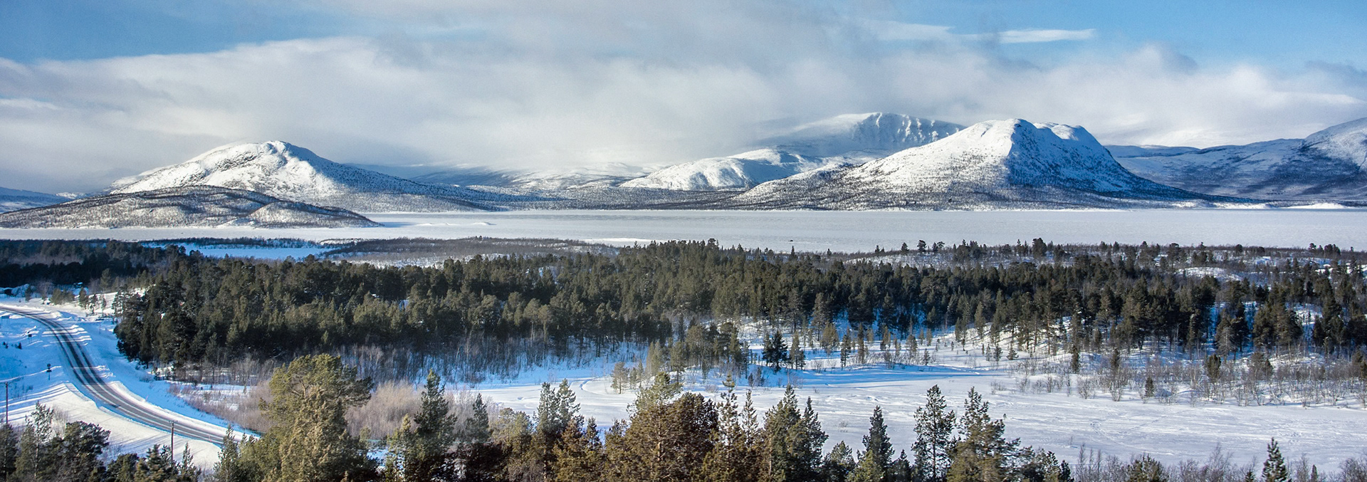 Panorama from the train