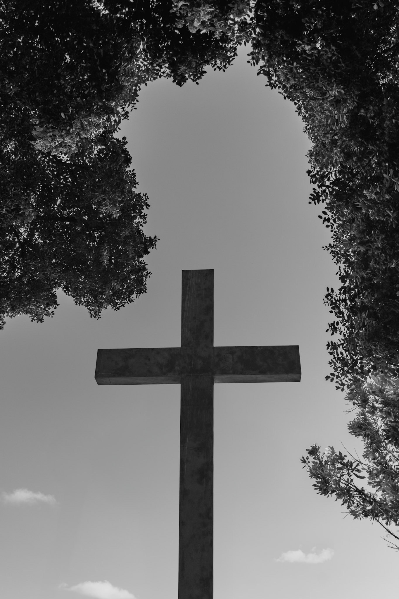 Sculpture, Funchal