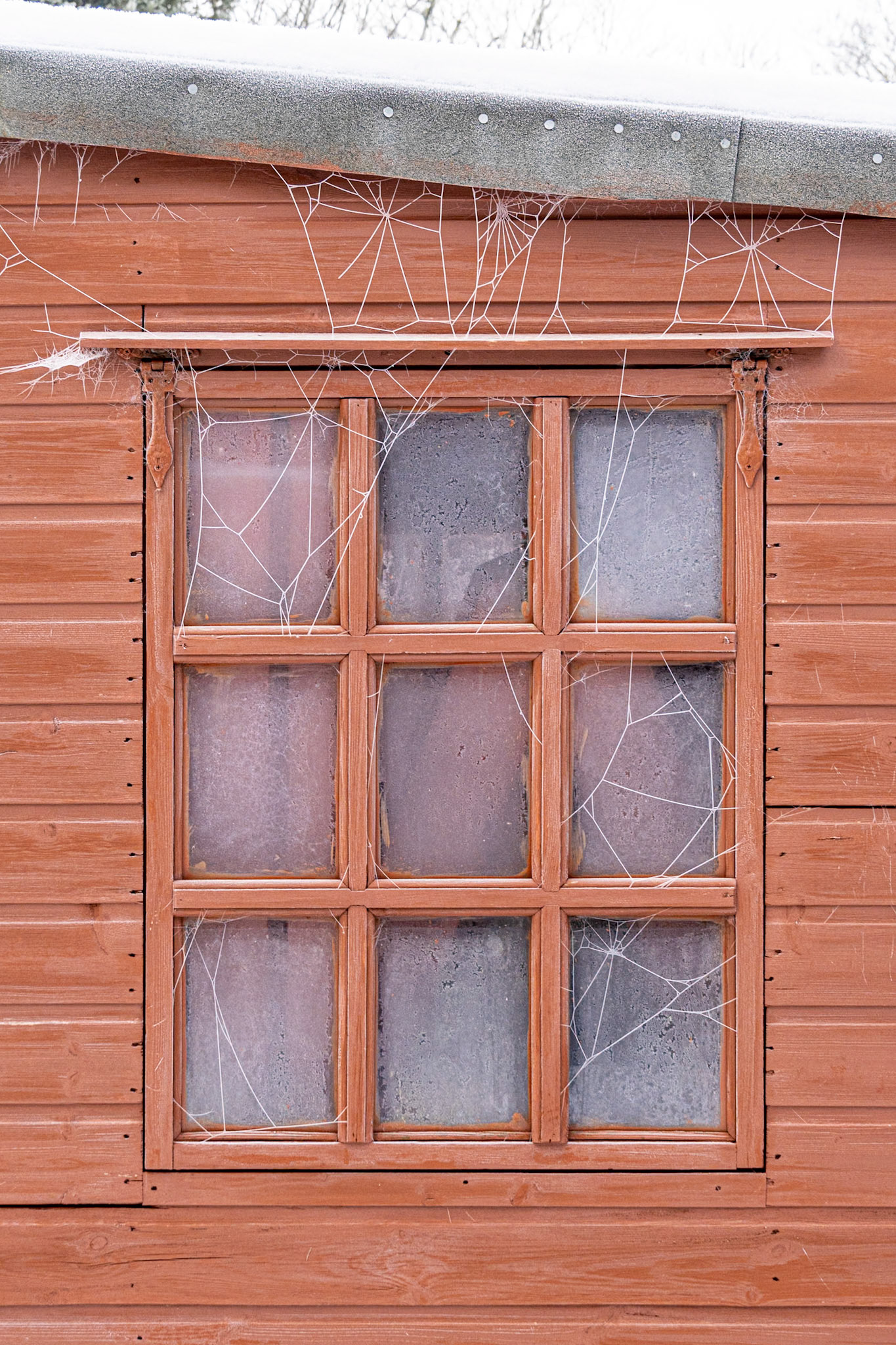 Shed