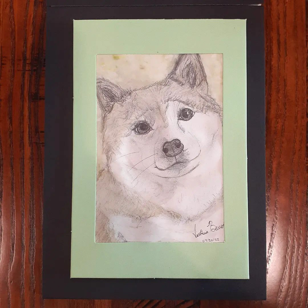 Mini Dog Portrait